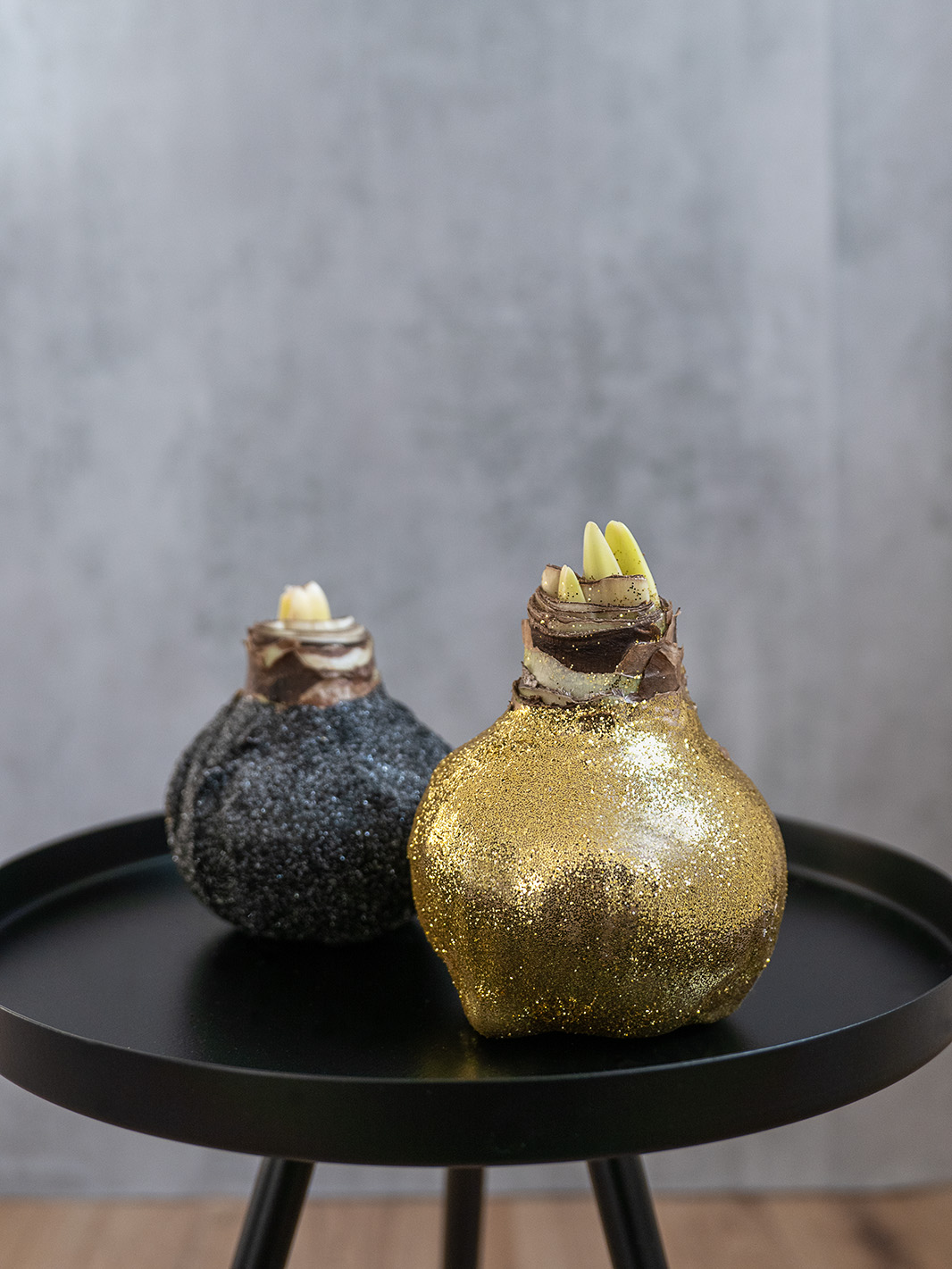 blumigo-amaryllis-knolle-gewachst-gold-glitzernd-ohne-erde image 2