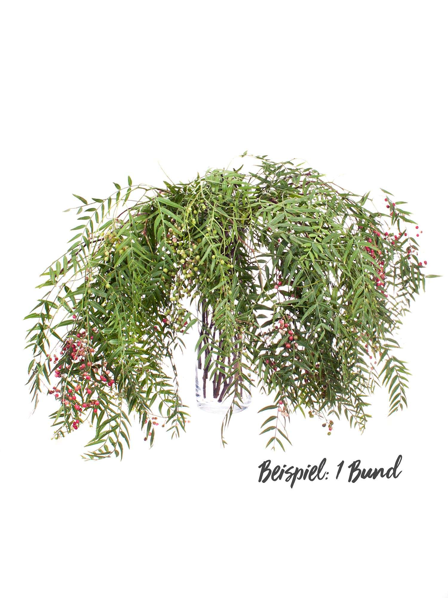 blumigo-pfefferbeeren-shinus-molus-pink-rot-bund image 4