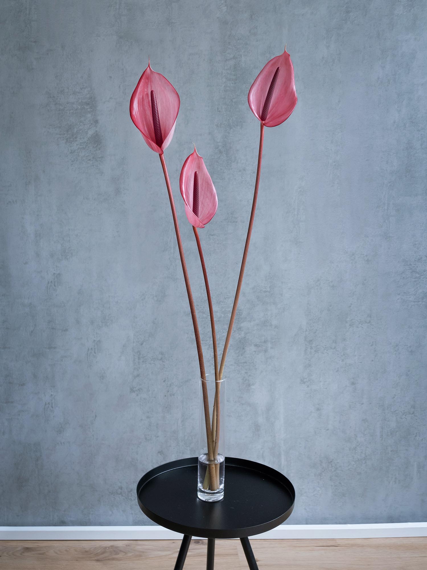 blumigo-blattwerk-und-bindegr-n-anthurie-xavia-schnittblume-pink image 6