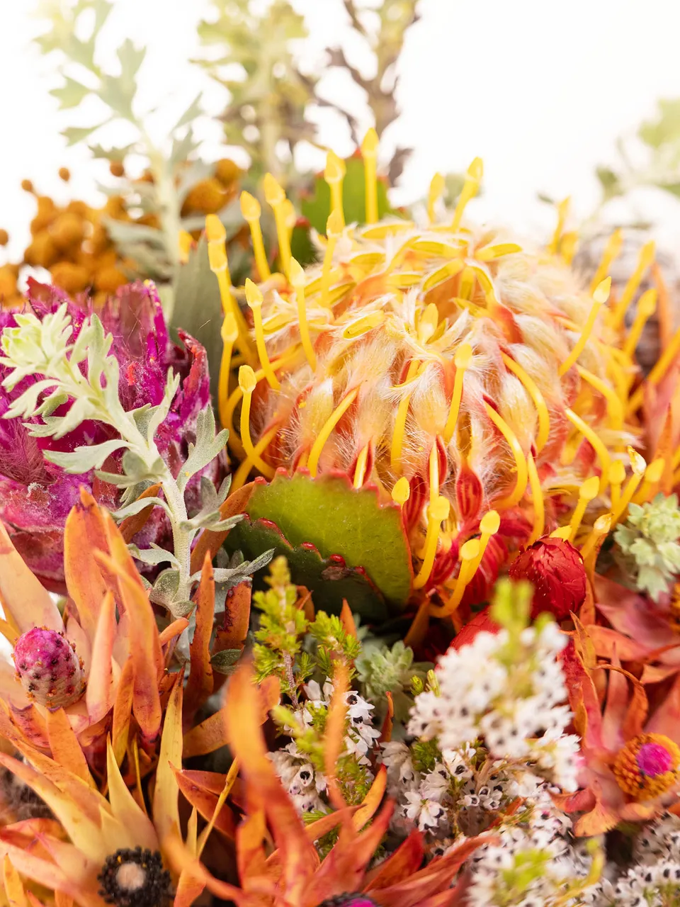 blumigo-berraschungsmixe-colorful-schnittblumen-s-dafrikanisch image 1