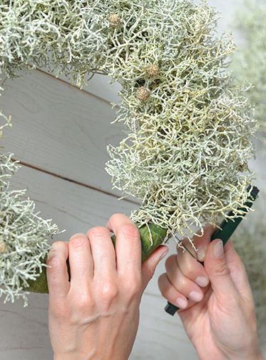 blumigo-blattwerk-calocephalus-stacheldraht-geschnitten image 7