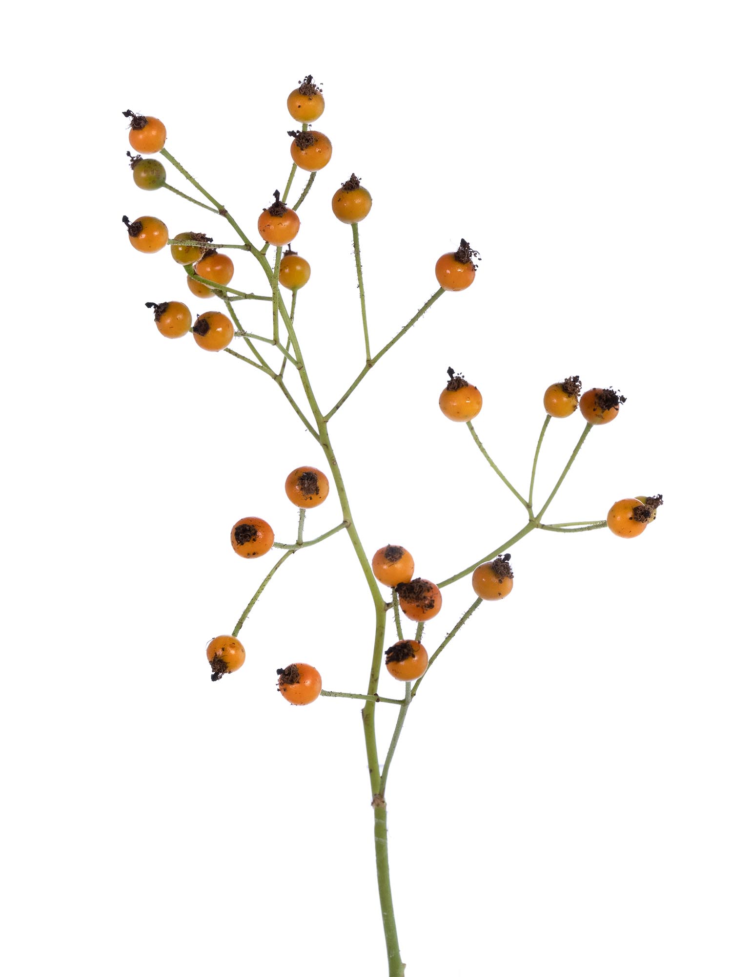 blumigo-herbstdeko-hagebutten-zweige-gelb-orange-gr-n image 2
