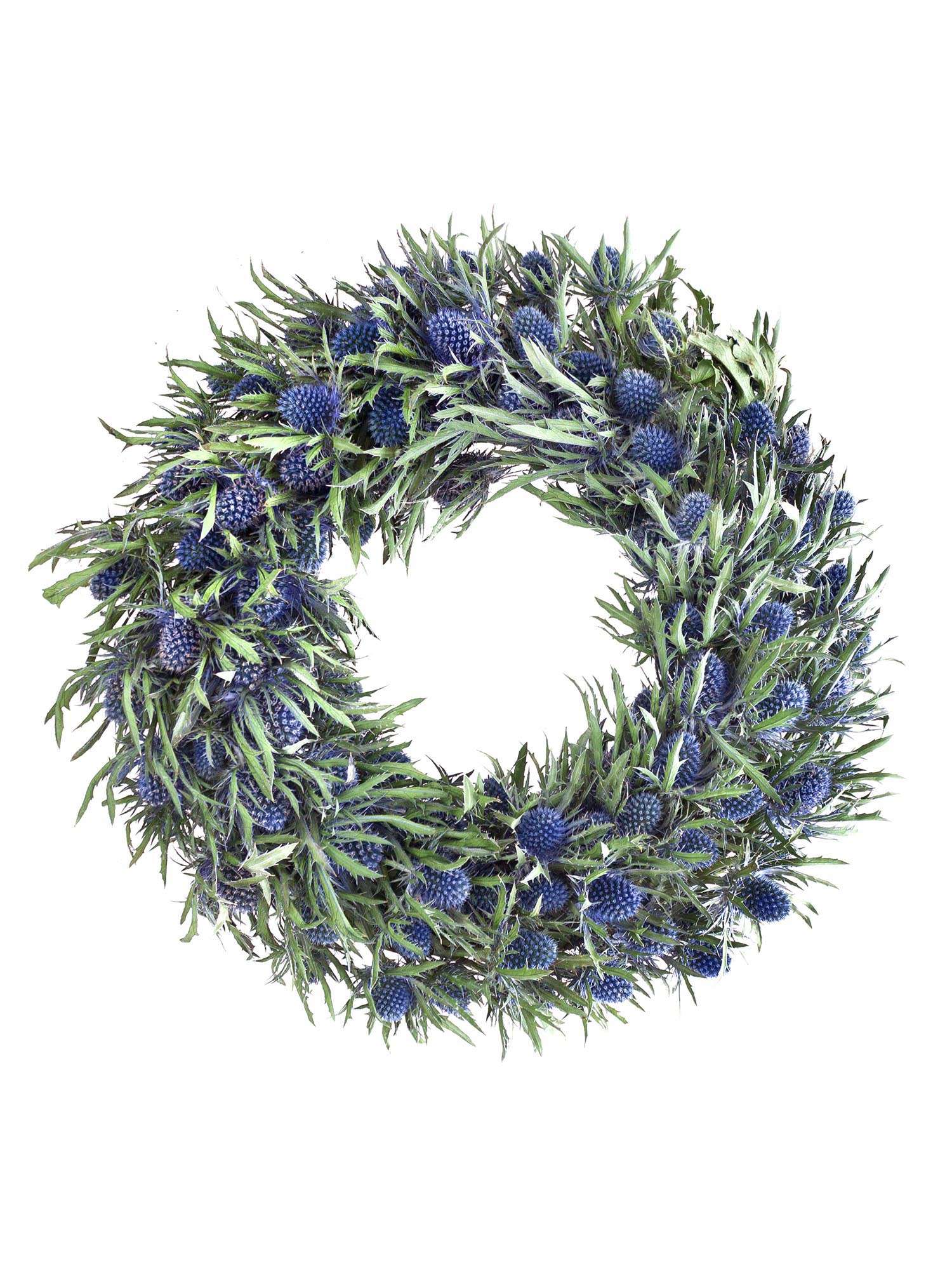 blumigo-diy-sets-distelkranz-25-cm-kranz-zum-selbermachen image 2
