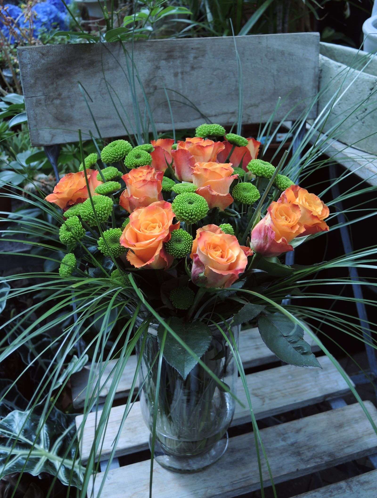 blumigo-rosen-l-ndliches-rosenwunder-schnittrosen-l-ndlich image 1