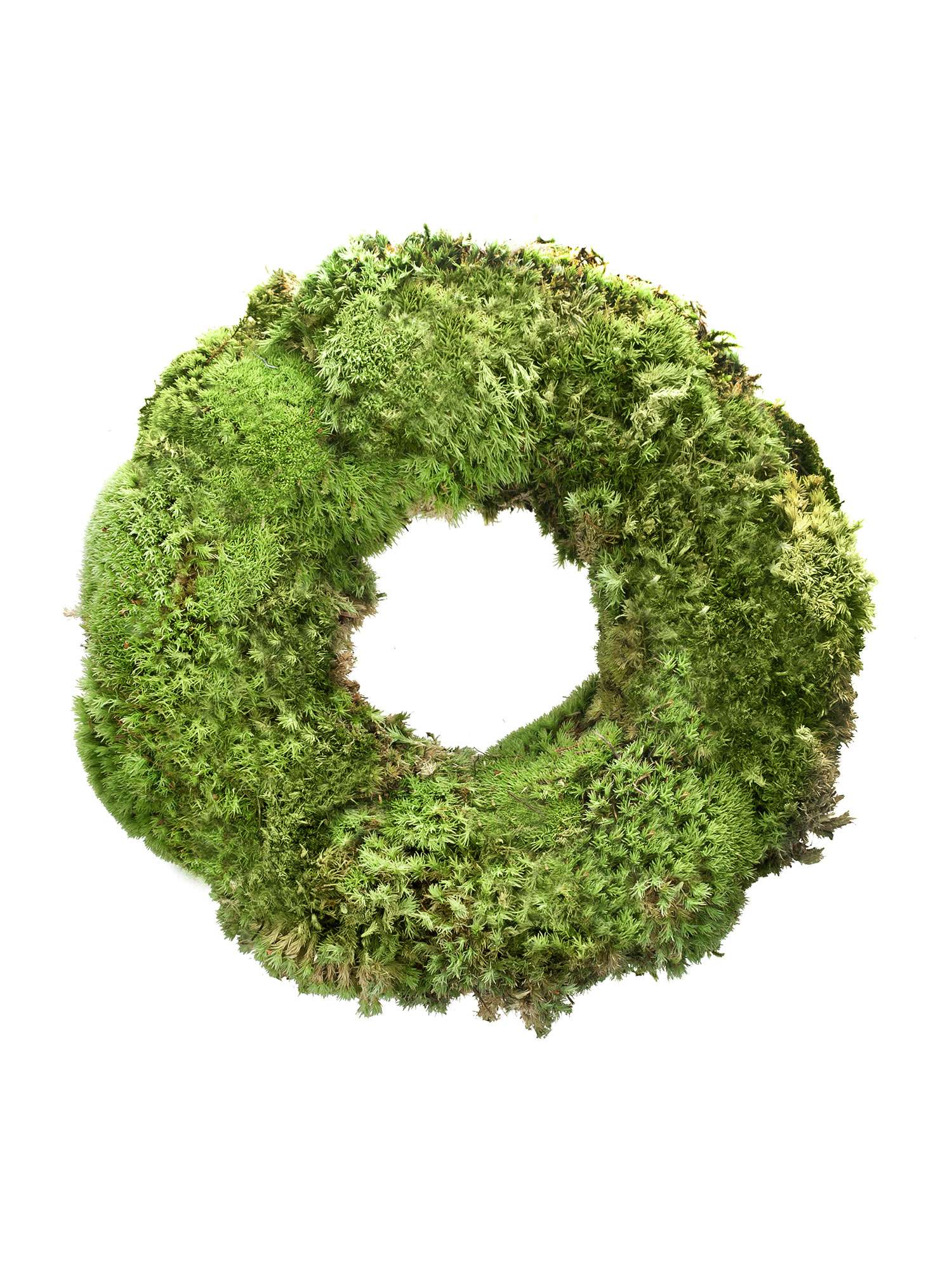 blumigo-bollmooskranz-25-cm-diy-kit-zum-selbermachen image 2