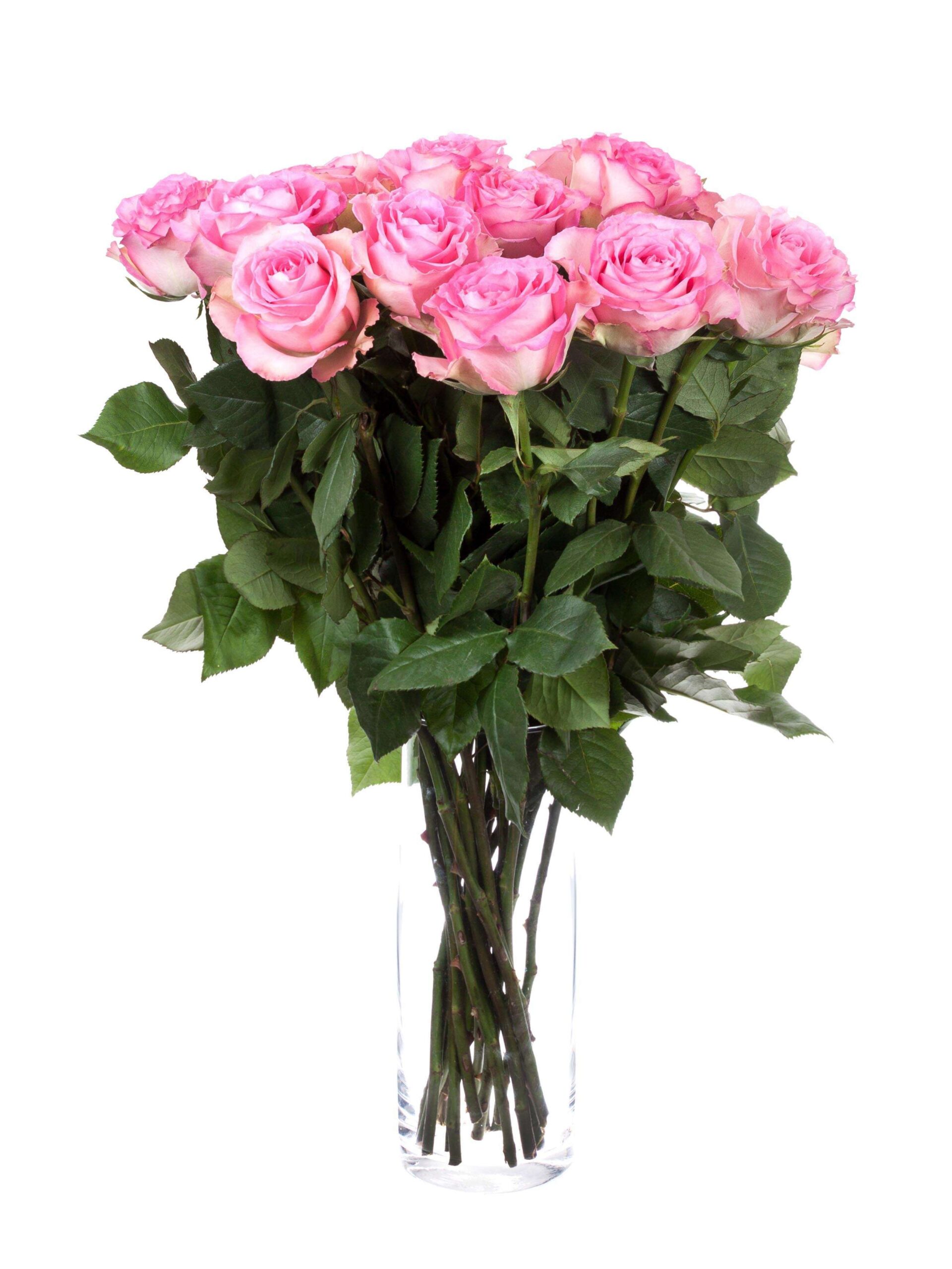 blumigo-rosen-sweet-unique-schnittrosen-pink-rosa-frisch image 2