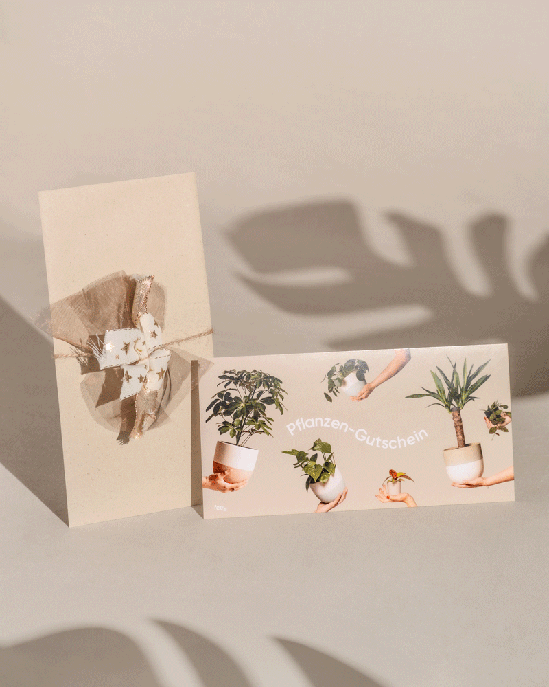 feey-lumi-gutschein-20-euro-motiv-danke-geschenkkarte image 3