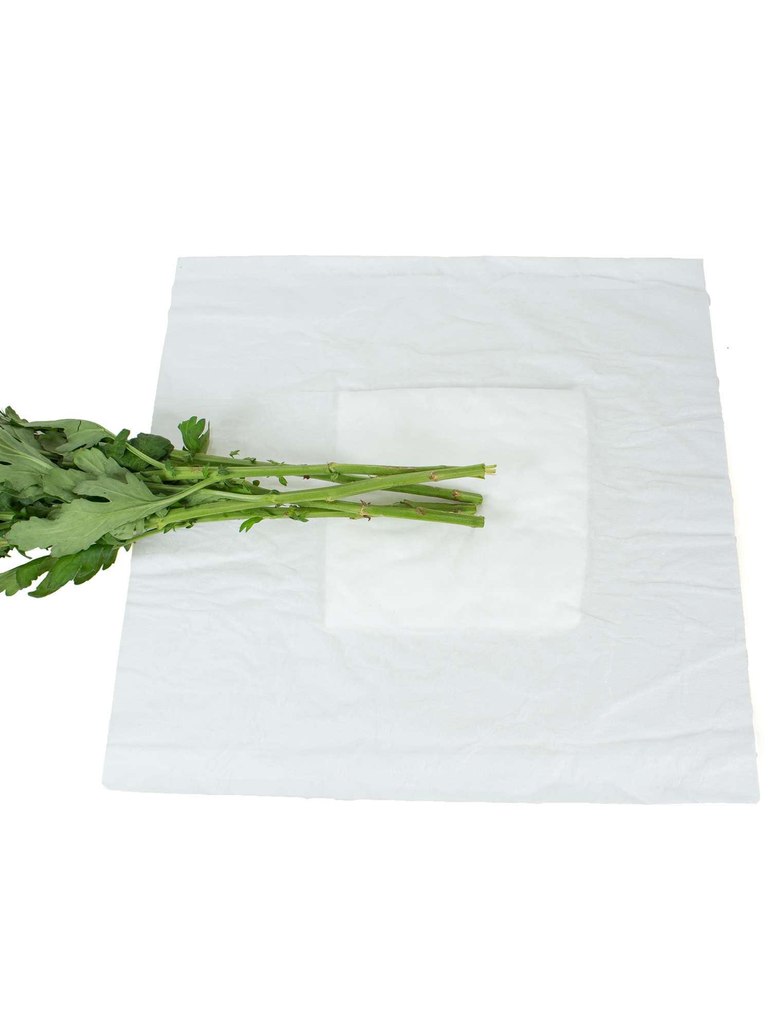 blumigo-freshbags-blumentransport-beutel-5-st-ck image 1
