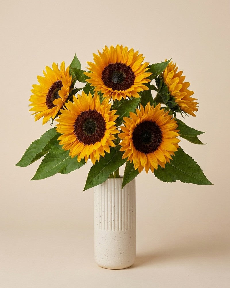 feey-sonnenblumen-strau-gelb-5-stk-schnittblumen image 7