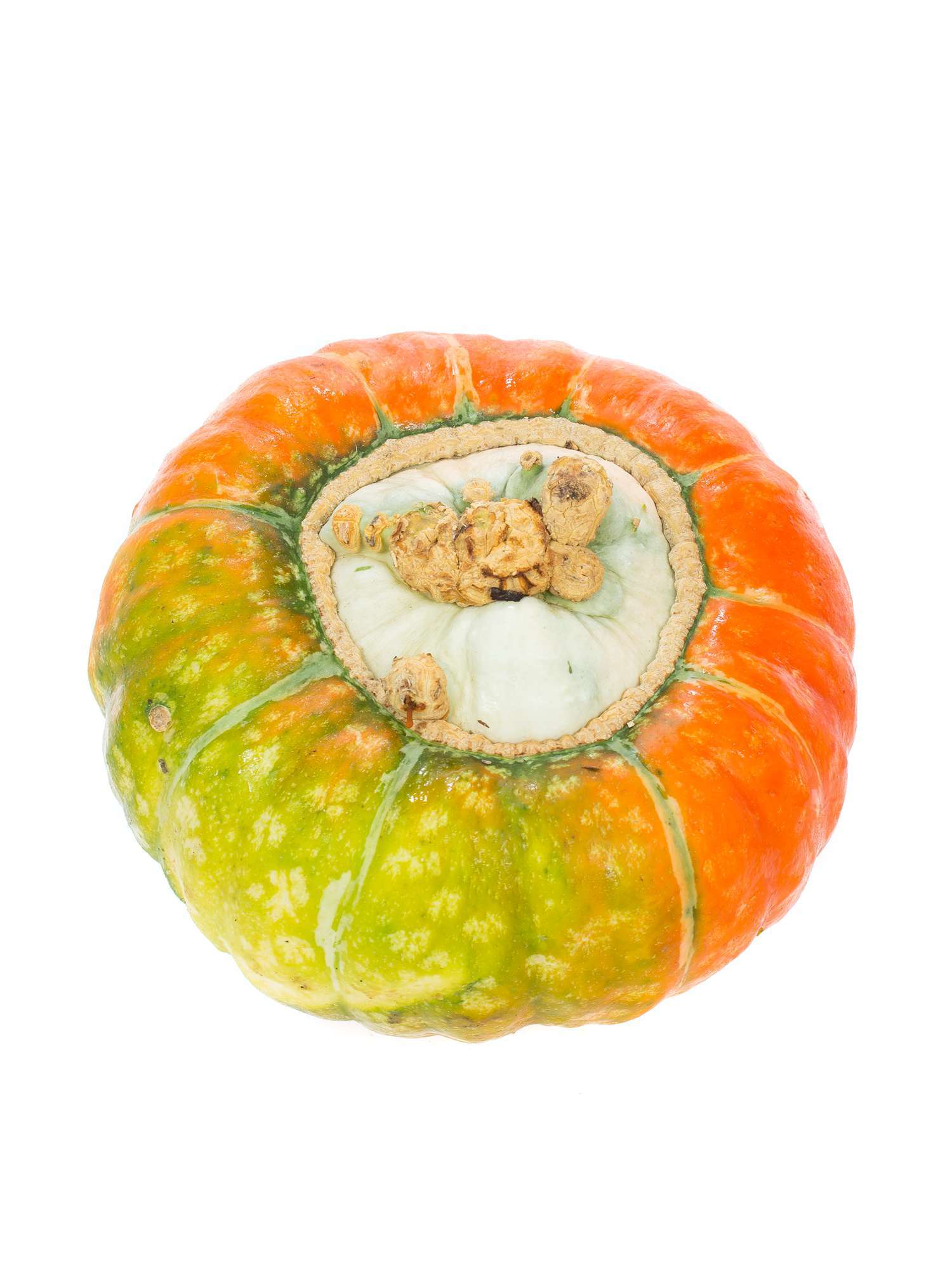 blumigo-herbstdeko-zierk-rbis-turks-turban-orange-gr-n image 2
