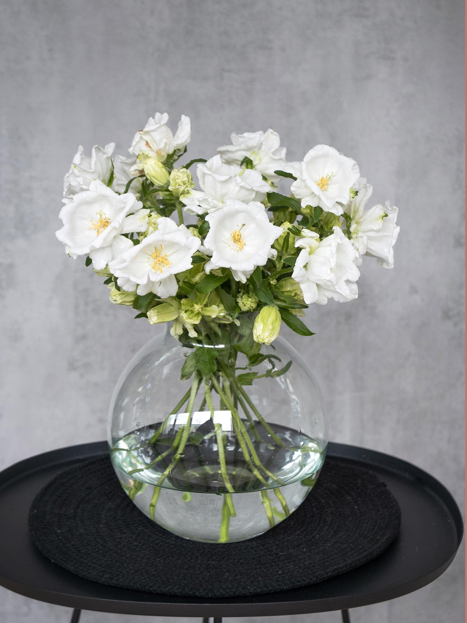 blumigo-glockenblumen-champion-white-schnittblume-wei image 6