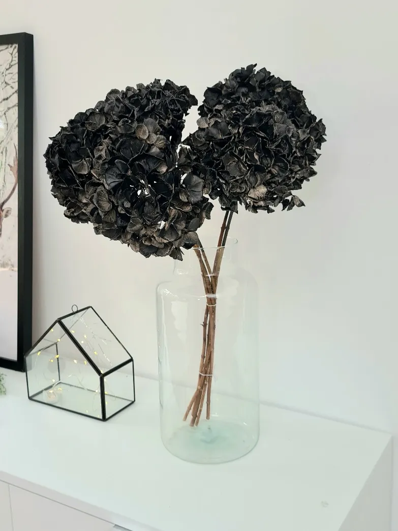 blumigo-hortensie-trockenblume-schwarz-getrocknet image 1