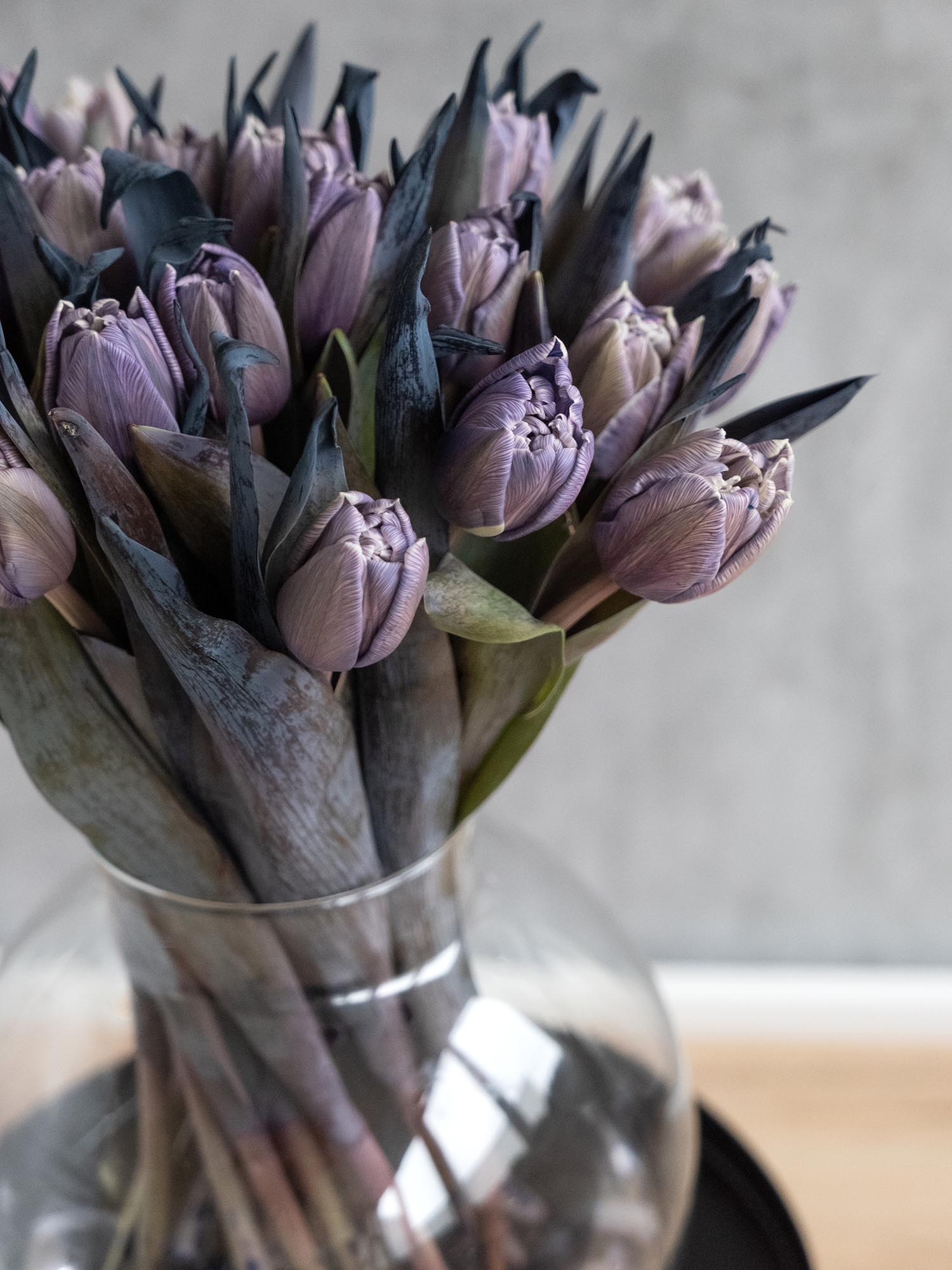blumigo-tulpen-double-violet-grau-violett-gef-llt image 8