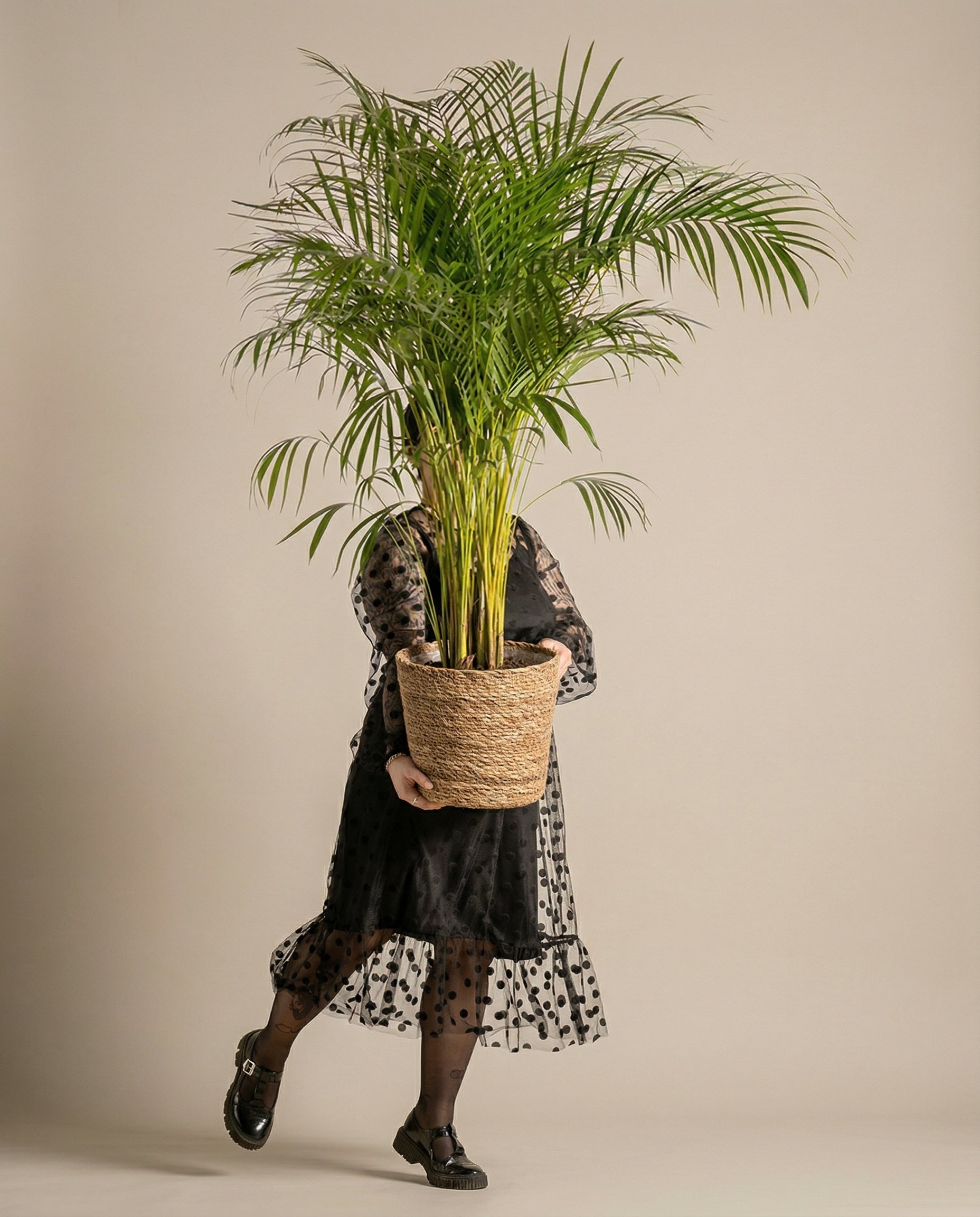 feey-variado-kesat-pflanzkorb-seegras-30-cm-handgeflochten image 1