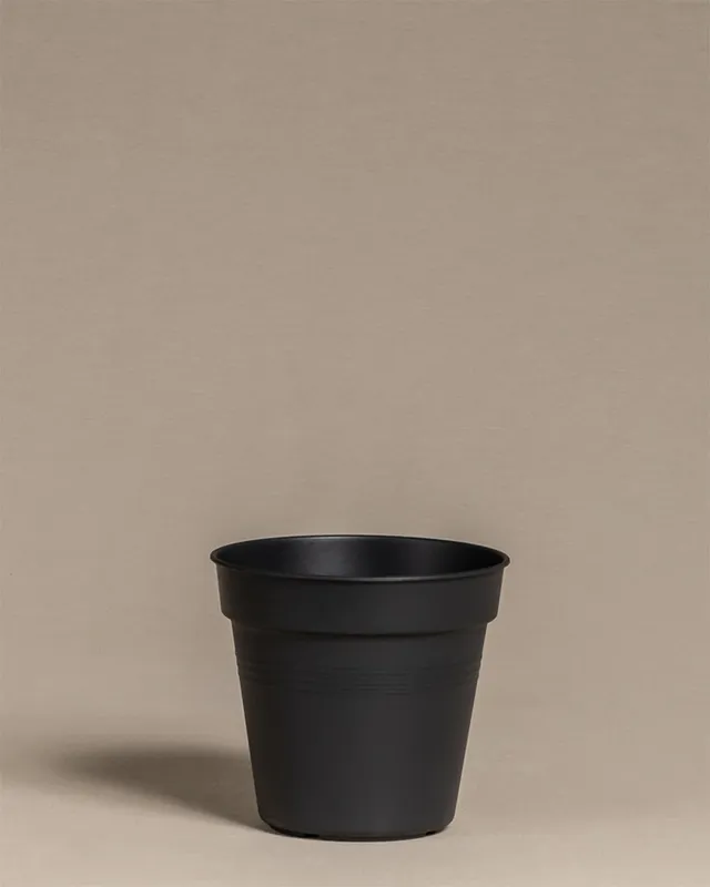 feey-amsterdam-innentopf-15-cm-kunststoff-mit-abtropfl-chern image 1
