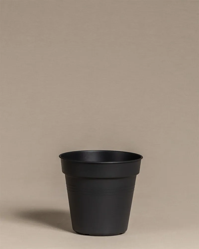 feey-amsterdam-innentopf-15-cm-kunststoff-mit-abtropfl-chern image 1