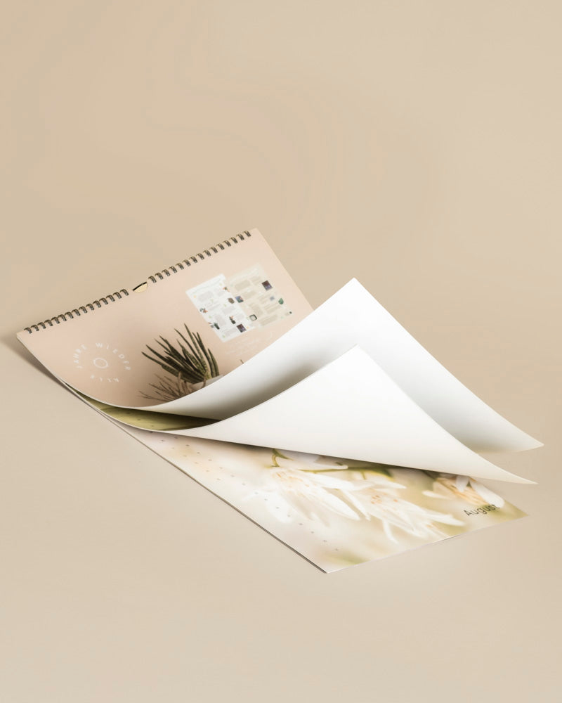 feey-lumi-pflanzenkalender-dauerkalender-a3 image 6