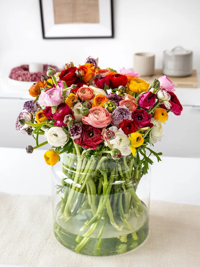 blumigo-berraschungsmix-50-ranunkeln-schnittblumen-mix image 1