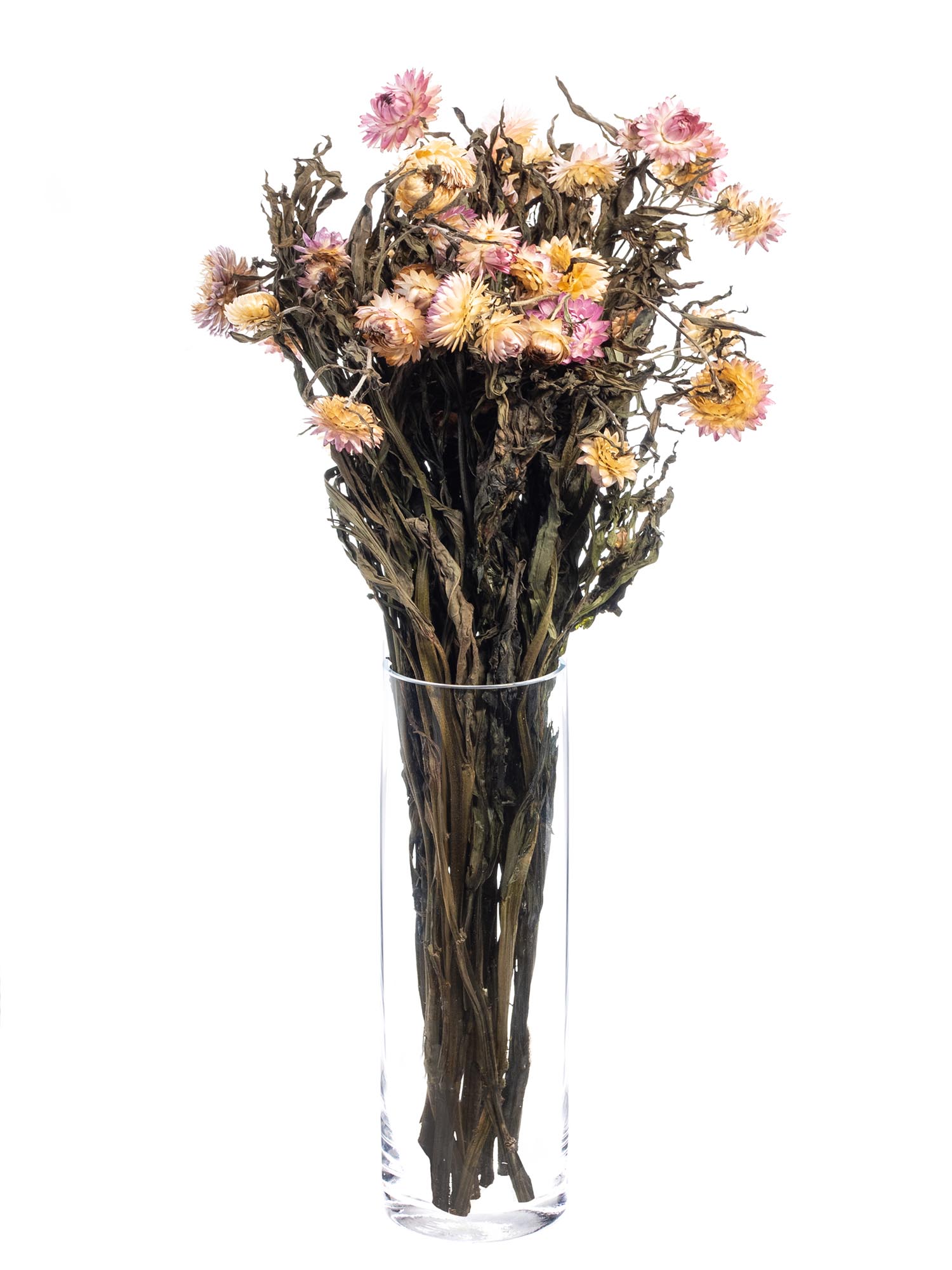 blumigo-trockenblumen-italienische-strohblume-apricot-rosa image 2