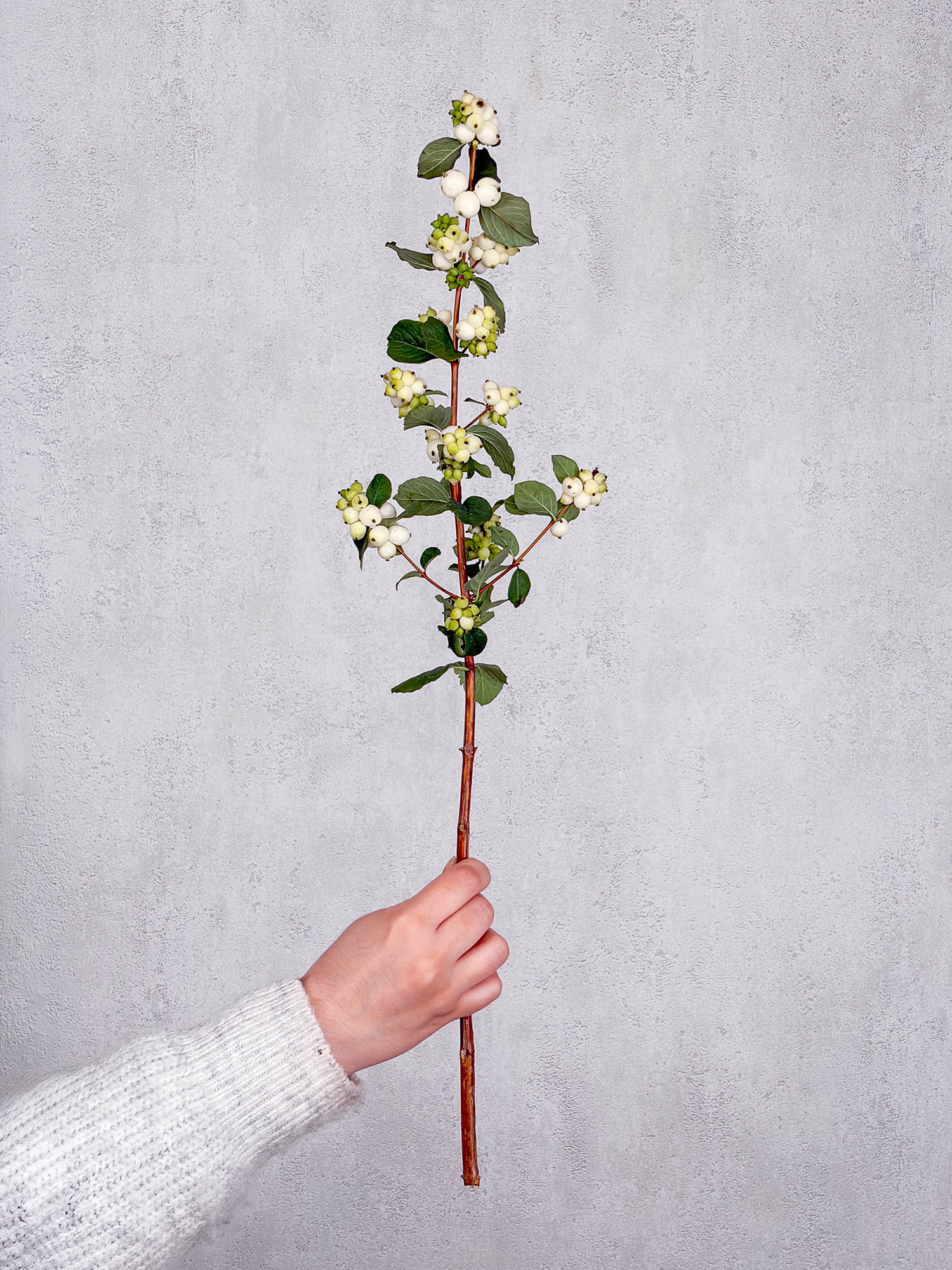 blumigo-exklusives-greenery-schneebeeren-magical-avalanche-wei-er-zweig image 3