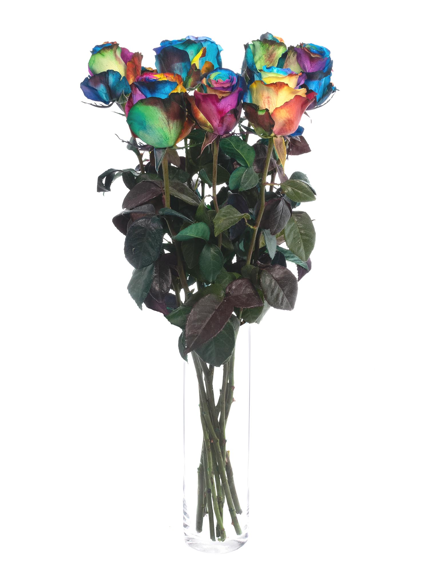 blumigo-rosen-regenbogen-schnittrose-bunt-st-ck image 2