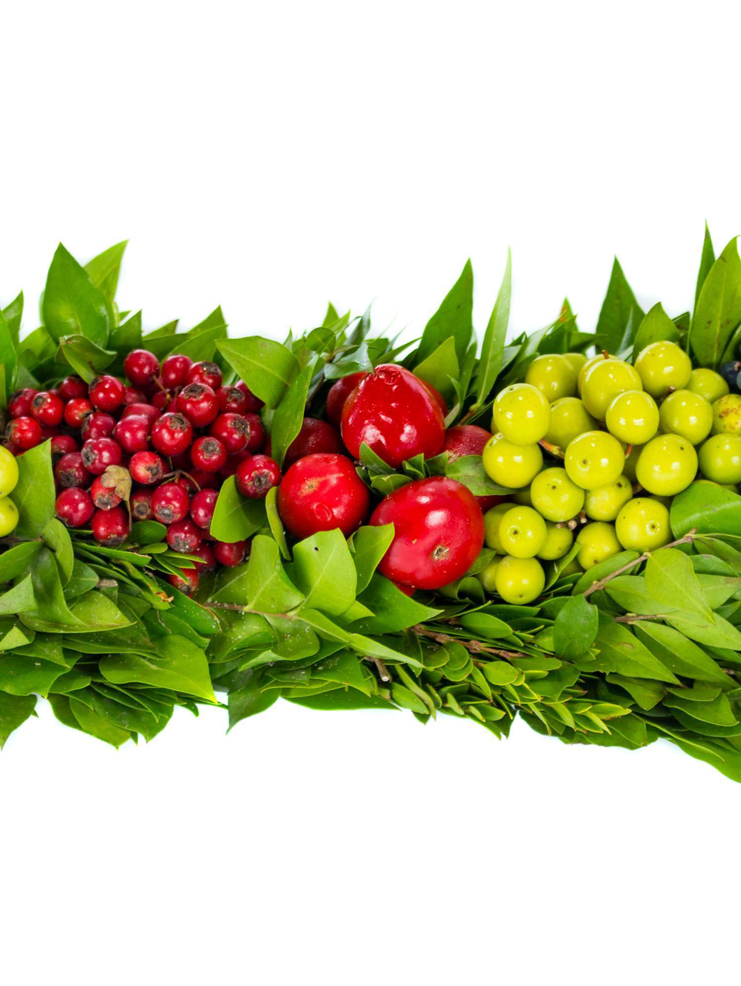 blumigo-herbstdeko-zierfruchtleiste-90-cm-herbstlich image 1