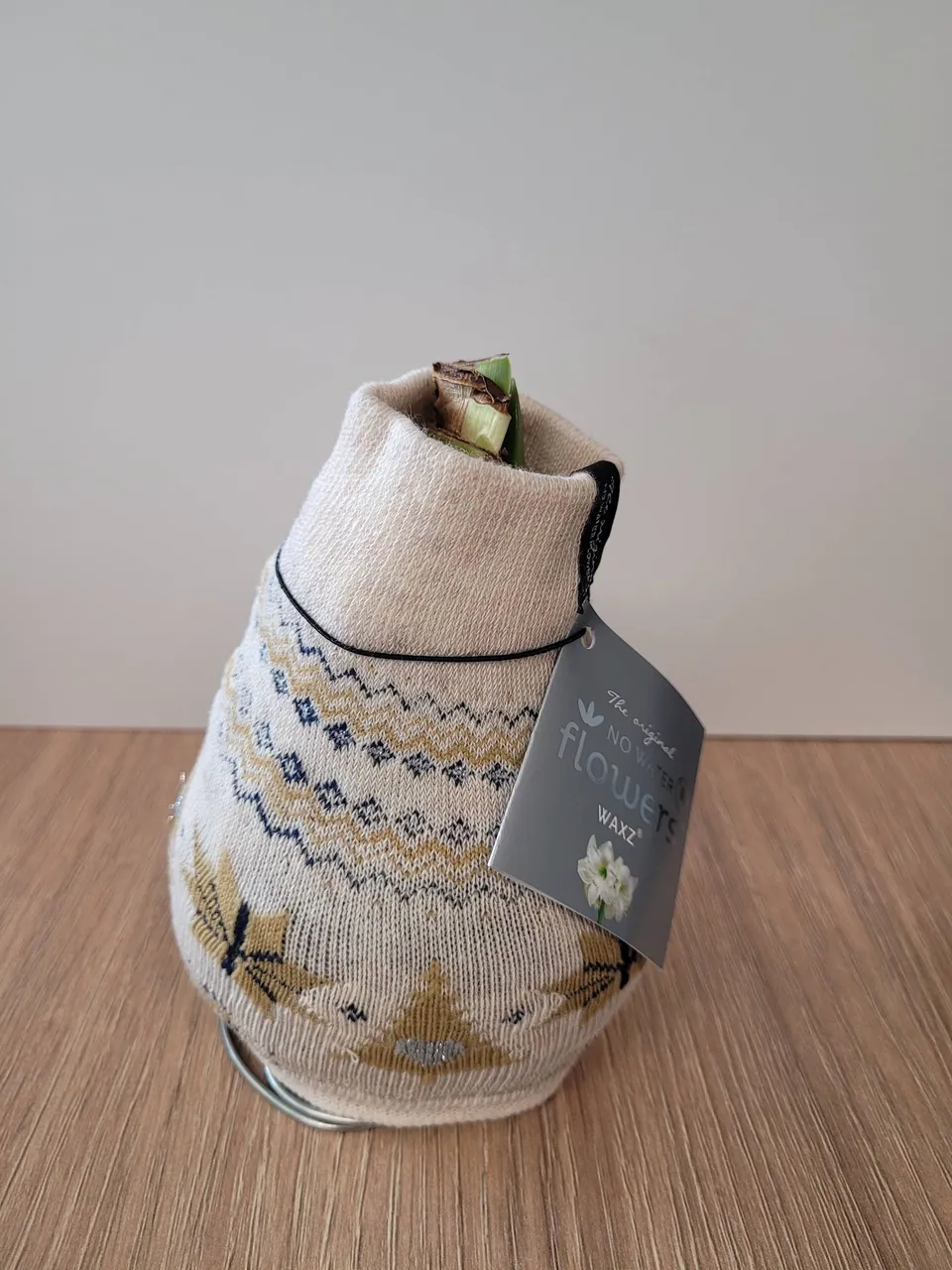 blumigo-amaryllis-knolle-im-fleece-weihnachten-zwiebel image 1