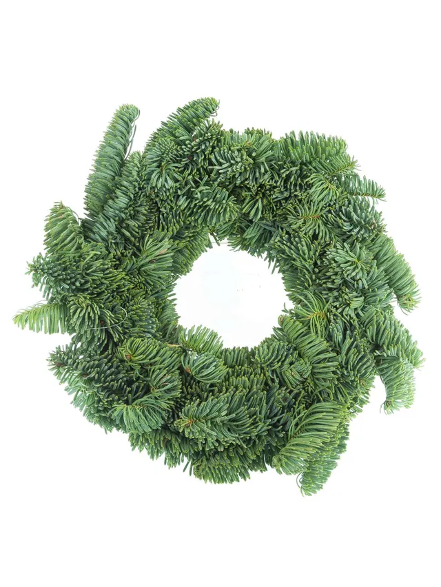 blumigo-diy-sets-nobiliskranz-bastelkit-tanne image 1