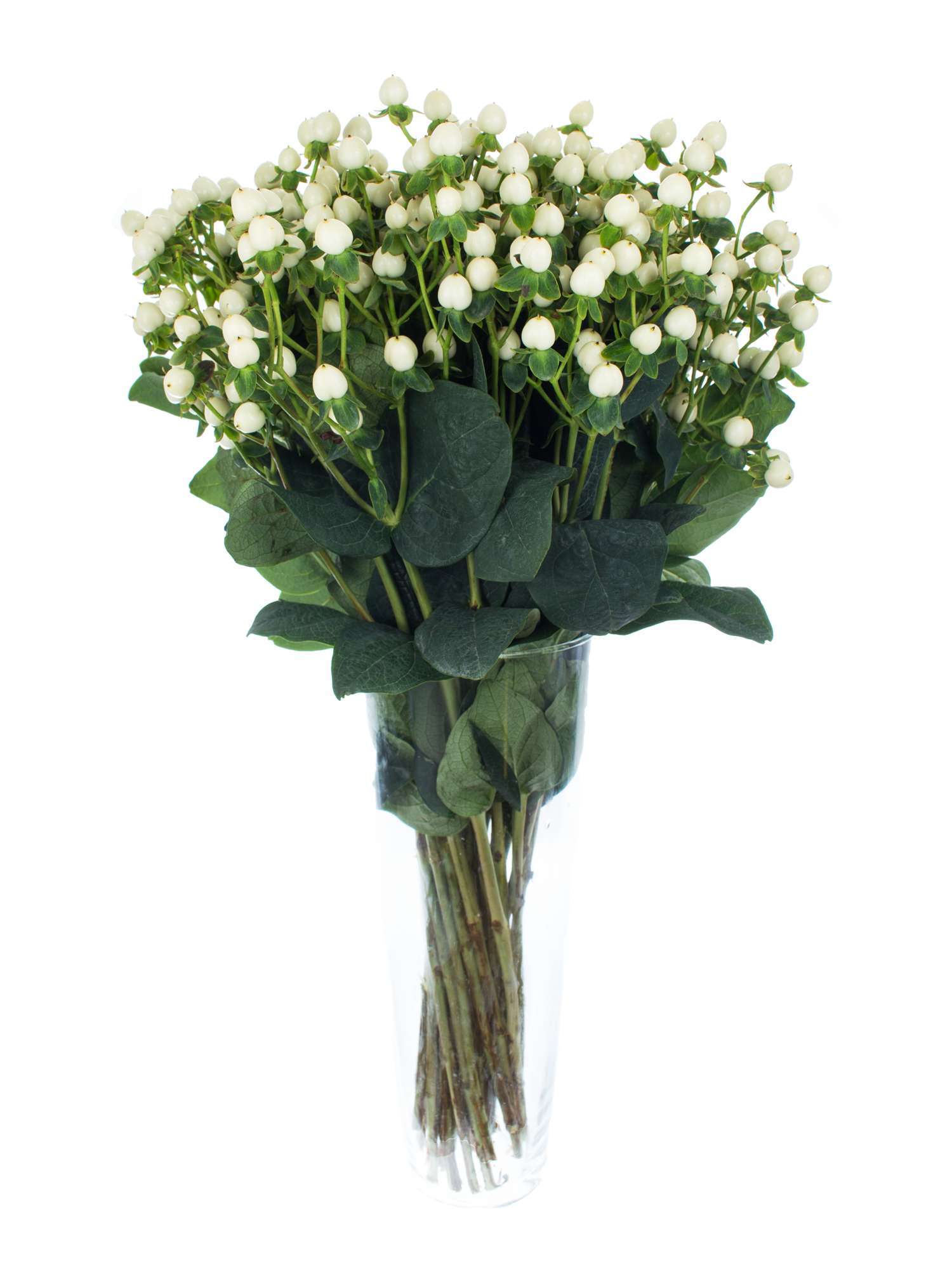blumigo-exklusives-greenery-hypericum-coco-uno-wei-creme-bund image 2