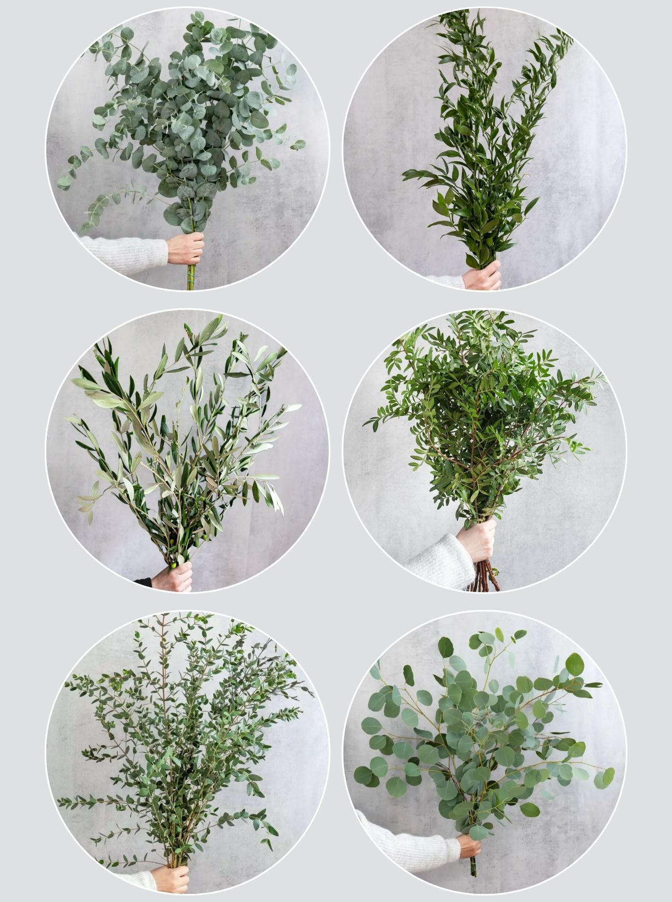 blumigo-blattwerk-und-bindegr-n-greenery-mix-bindegr-n-6-bund-gemischt image 2