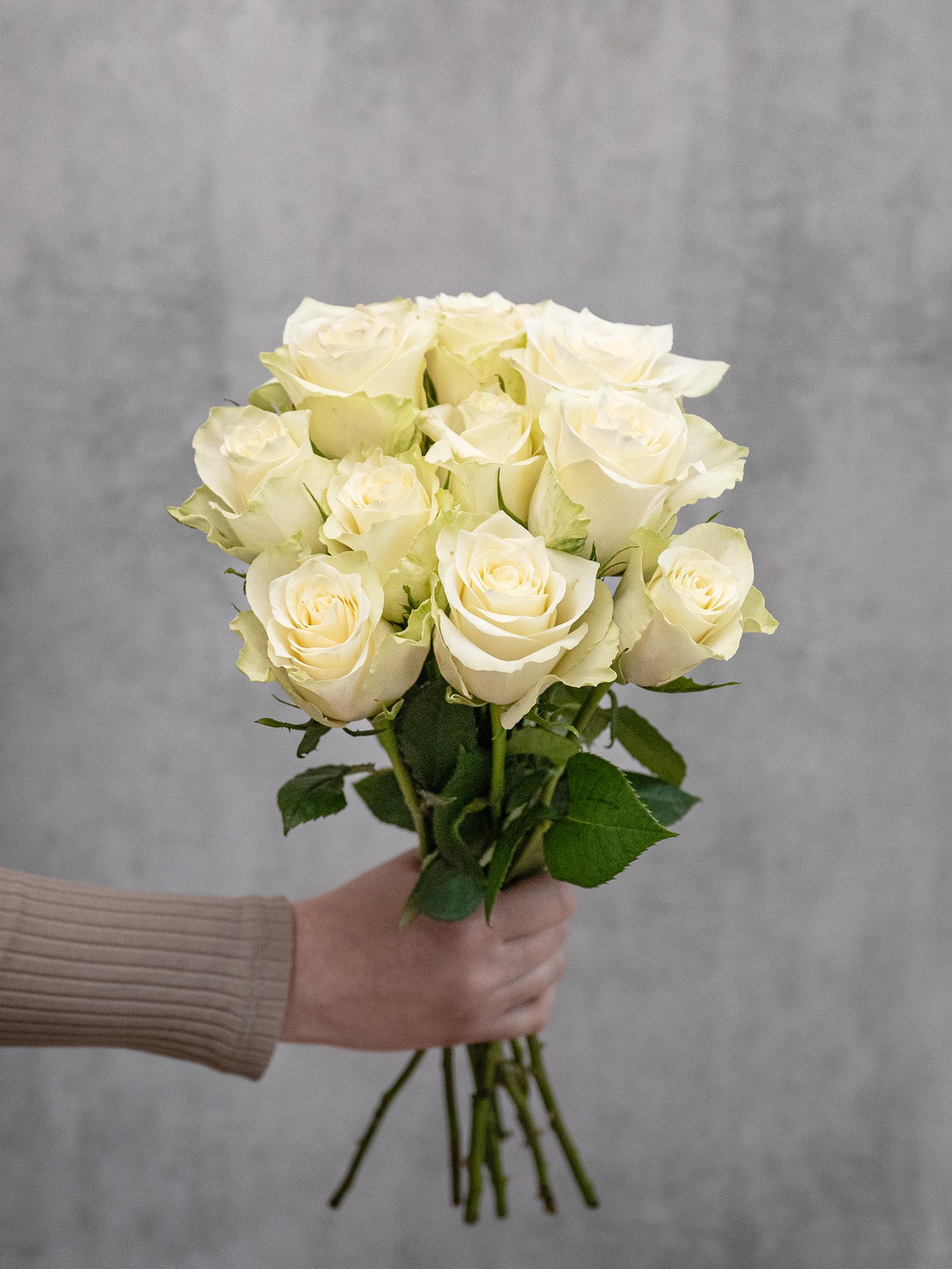 blumigo-rosen-athena-wei-e-schnittrose-elegante-vase image 4