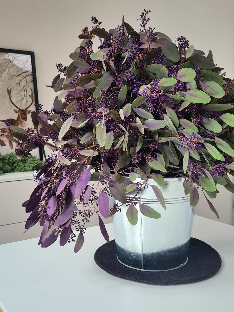 blumigo-eukalyptus-populus-schnittgr-n-beeren-violett image 2