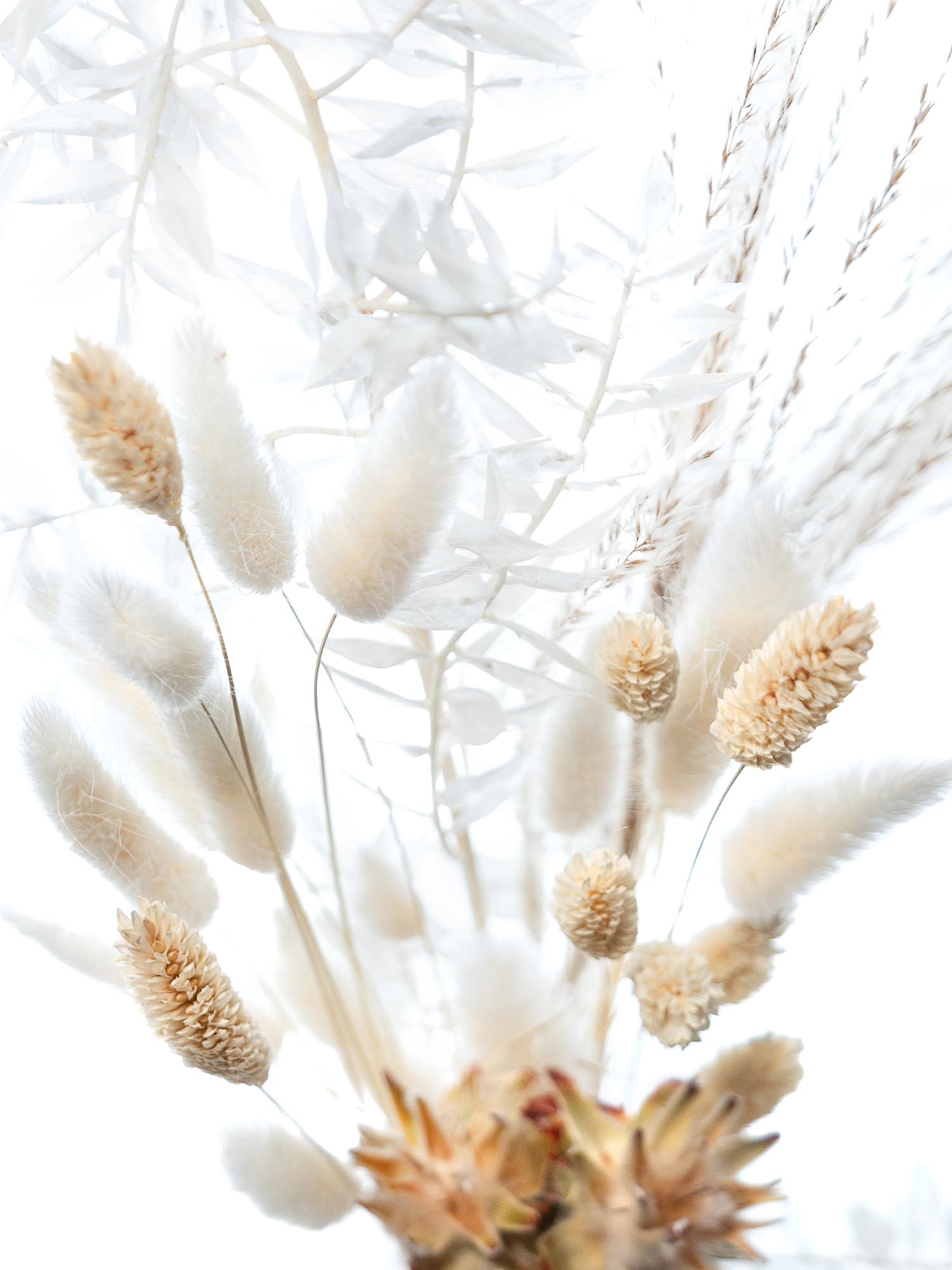 blumigo-trockenblumen-mini-mix-creme-wei-deko image 4