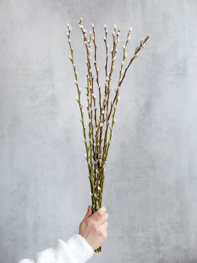 blumigo-zweige-weidenk-tzchen-mittellang-natur-f-r-vase image 1