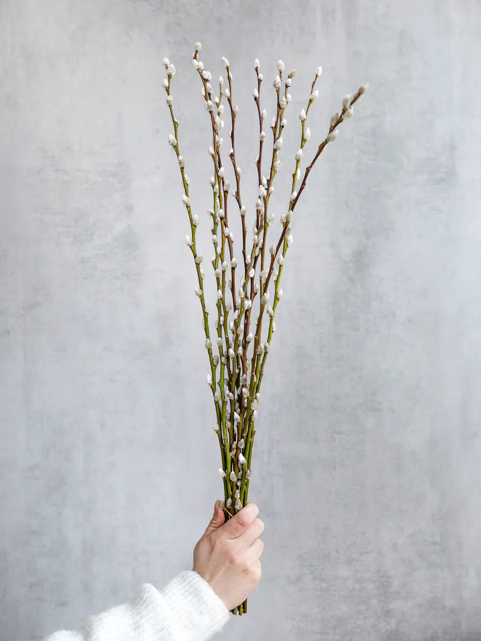 blumigo-zweige-weidenk-tzchen-mittellang-natur-f-r-vase image 1