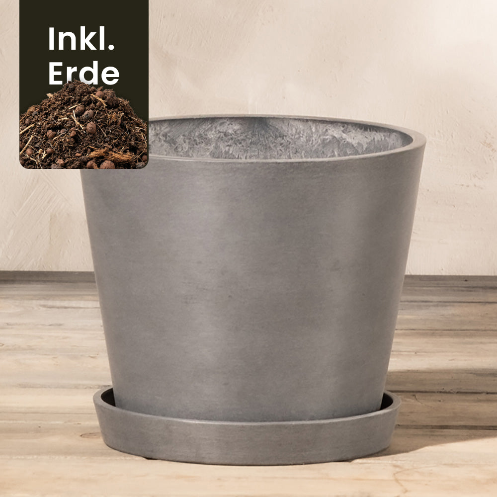 feey-amsterdam-pflanzk-bel-20-cm-taupe-mit-drainage image 7