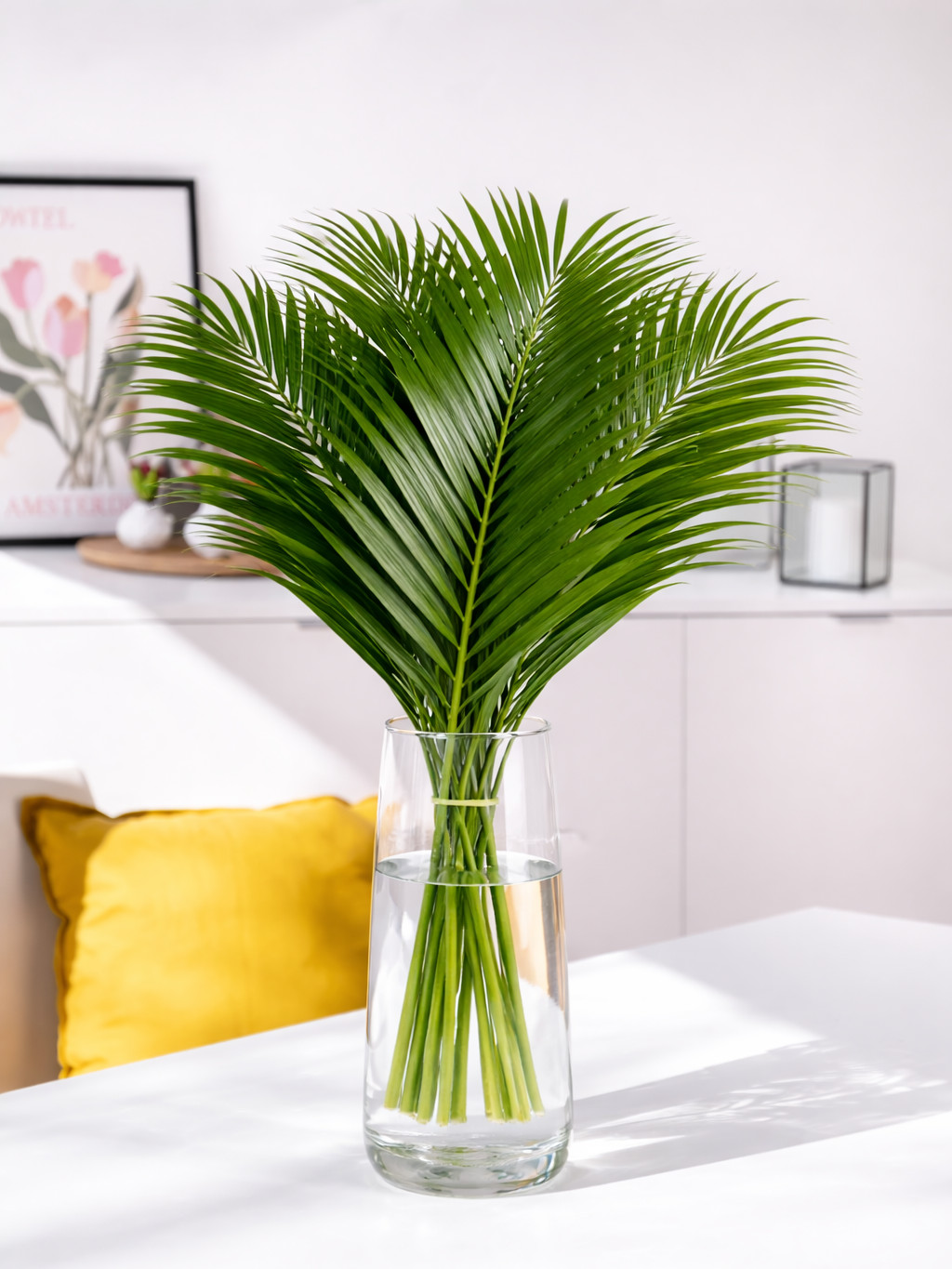 blumigo-phoenix-roebelenii-palmbl-tter-gr-n-bindegr-n image 3