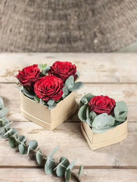 blumigo-rosenbox-herzset-2-teilig-diy-set-zum-selbermachen image 1