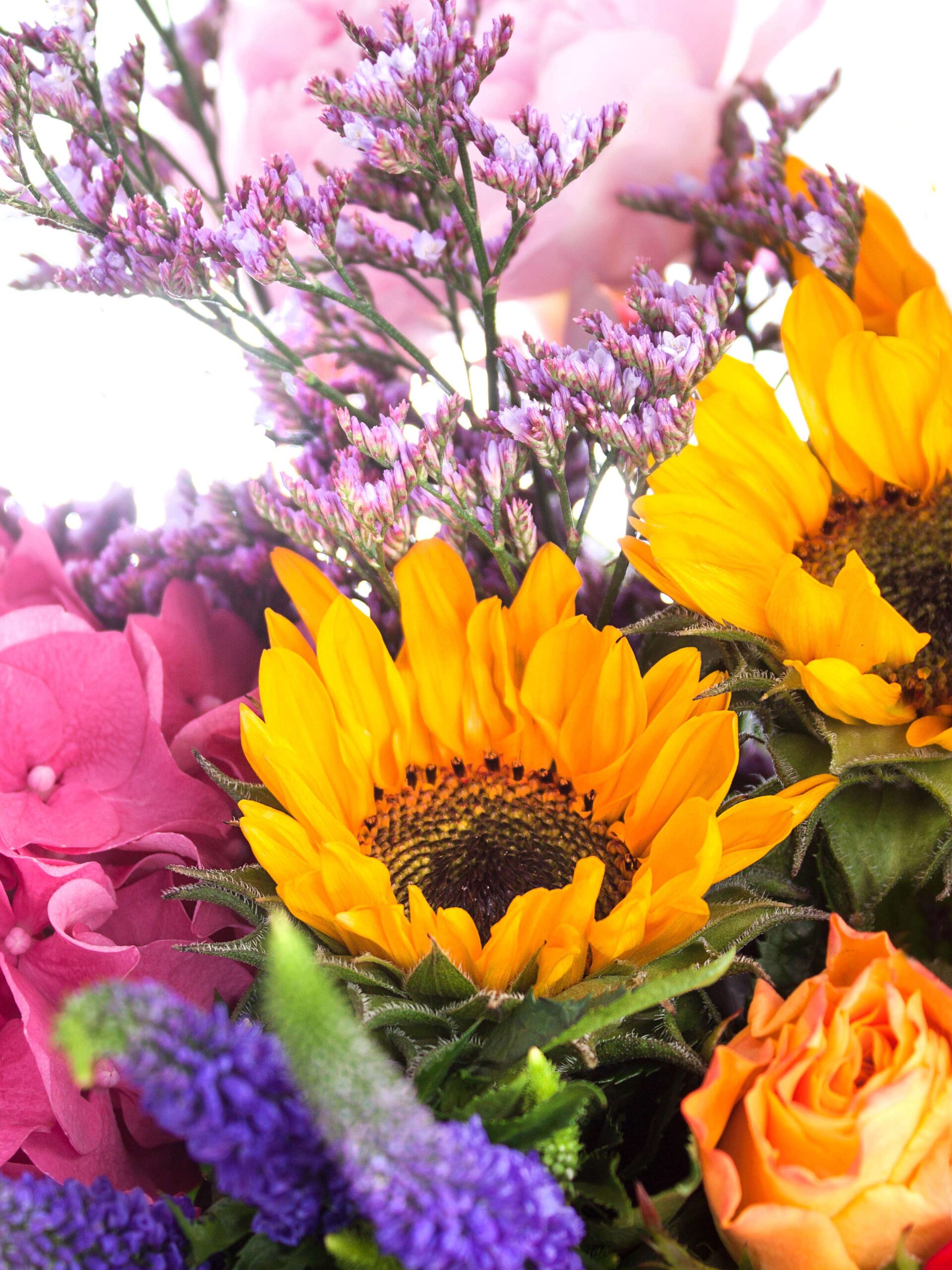 blumigo-basic-color-mix-blumenmischung-bunte-farben image 5