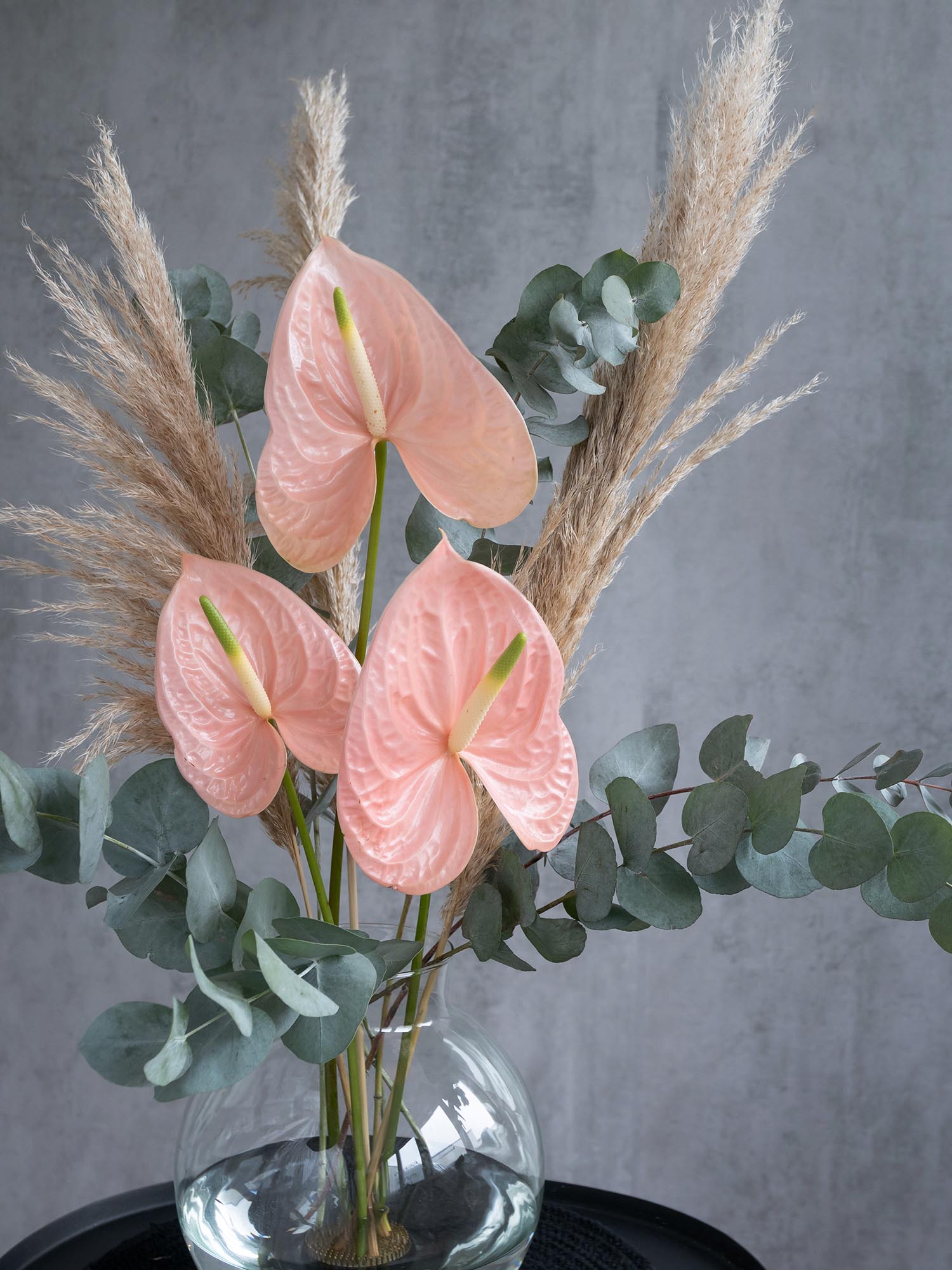 blumigo-anthurie-cheers-schnittblume-apricot-rosa-pastell image 6