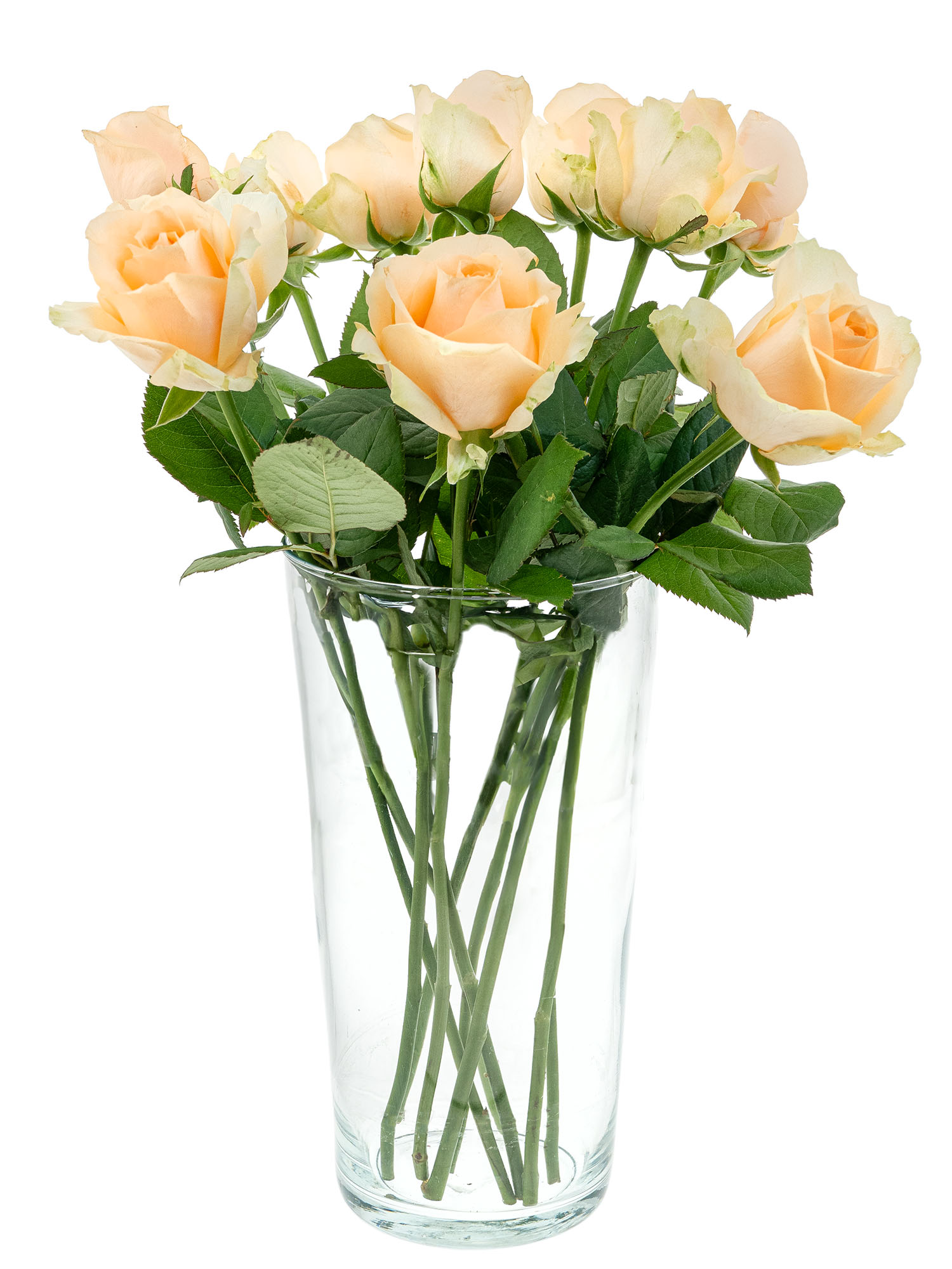 blumigo-rosen-avalanche-peach-rose-apricot-einzelstiel image 2
