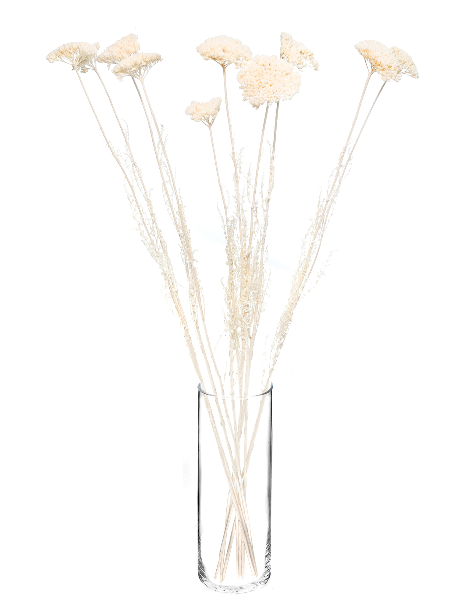 blumigo-trockenblumen-achillea-schafgarbe-gebleicht image 2
