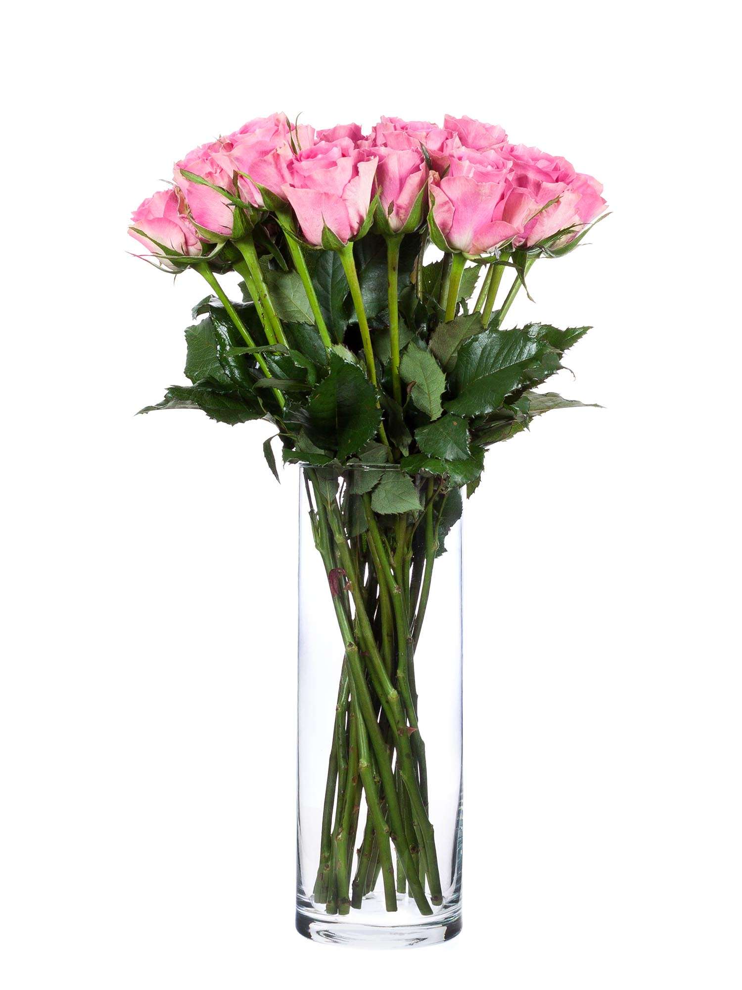 blumigo-vasen-maike-glasvase-zylinder-8-5-x-26-cm-klar image 4
