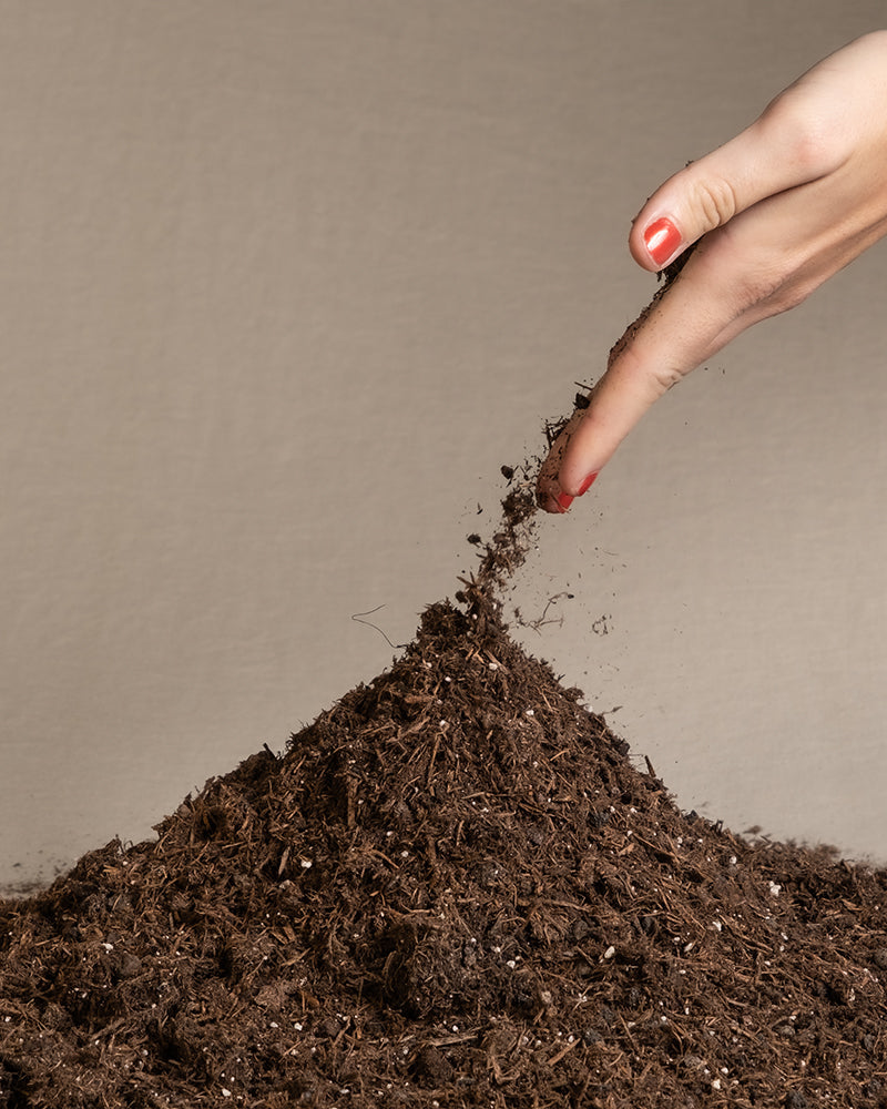 feey-variado-umtopfset-erde-mit-nematoden-gegen-trauerm-cken image 3