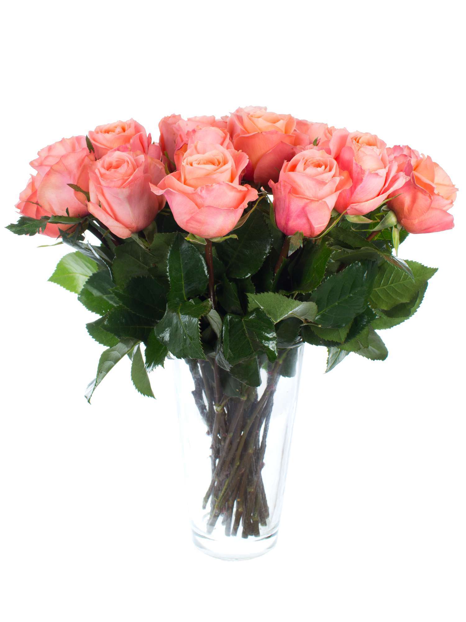 blumigo-rosen-lady-margaret-schnittrosen-lachs-creme image 2