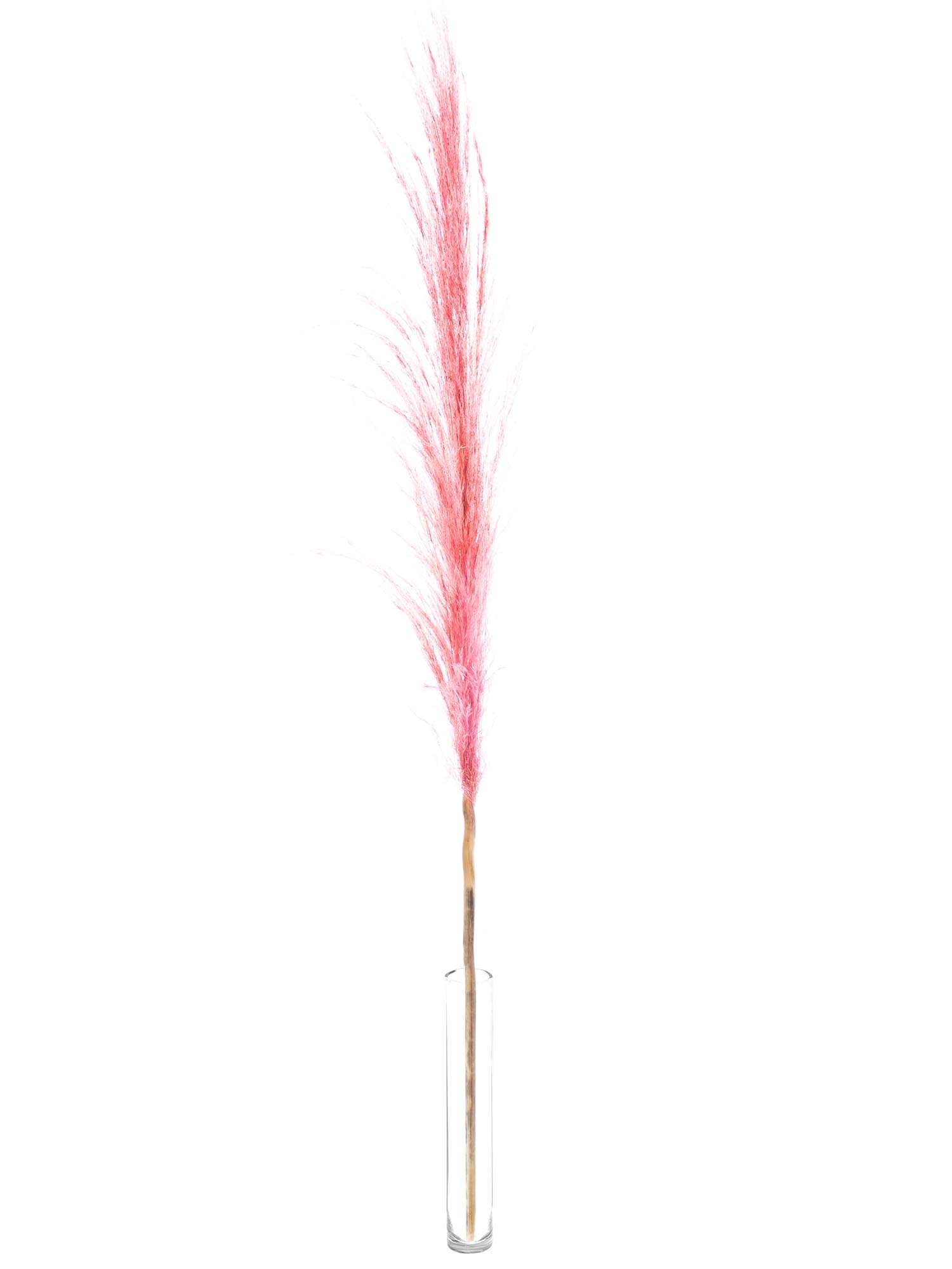blumigo-trockenblumen-pampasgras-getrocknet-rosa-f-r-vase image 3