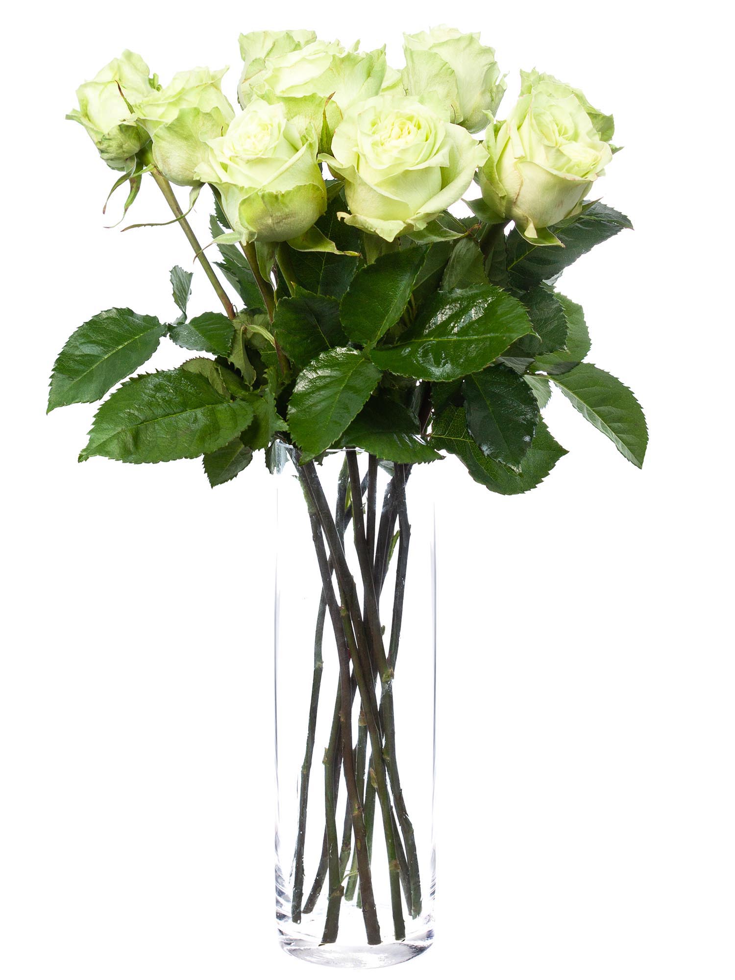 blumigo-rosen-moonstone-schnittrose-wei-gr-n image 2