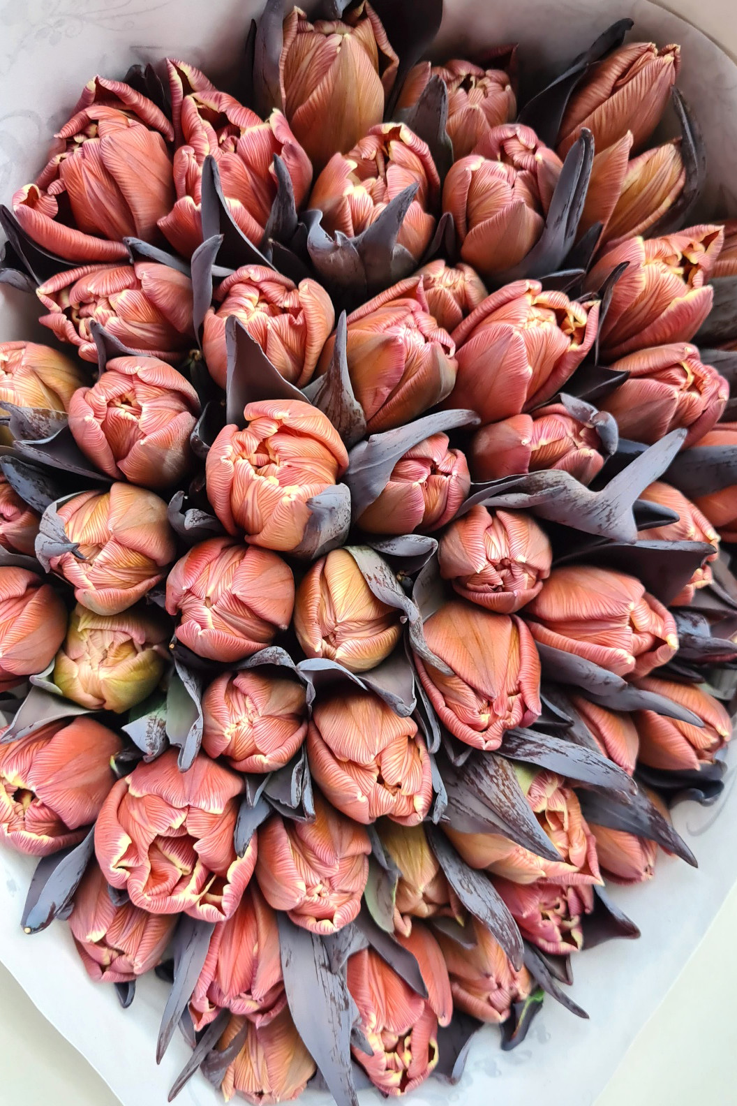 blumigo-tulpen-brownies-tulpen-creme-braun-gef-llt image 2