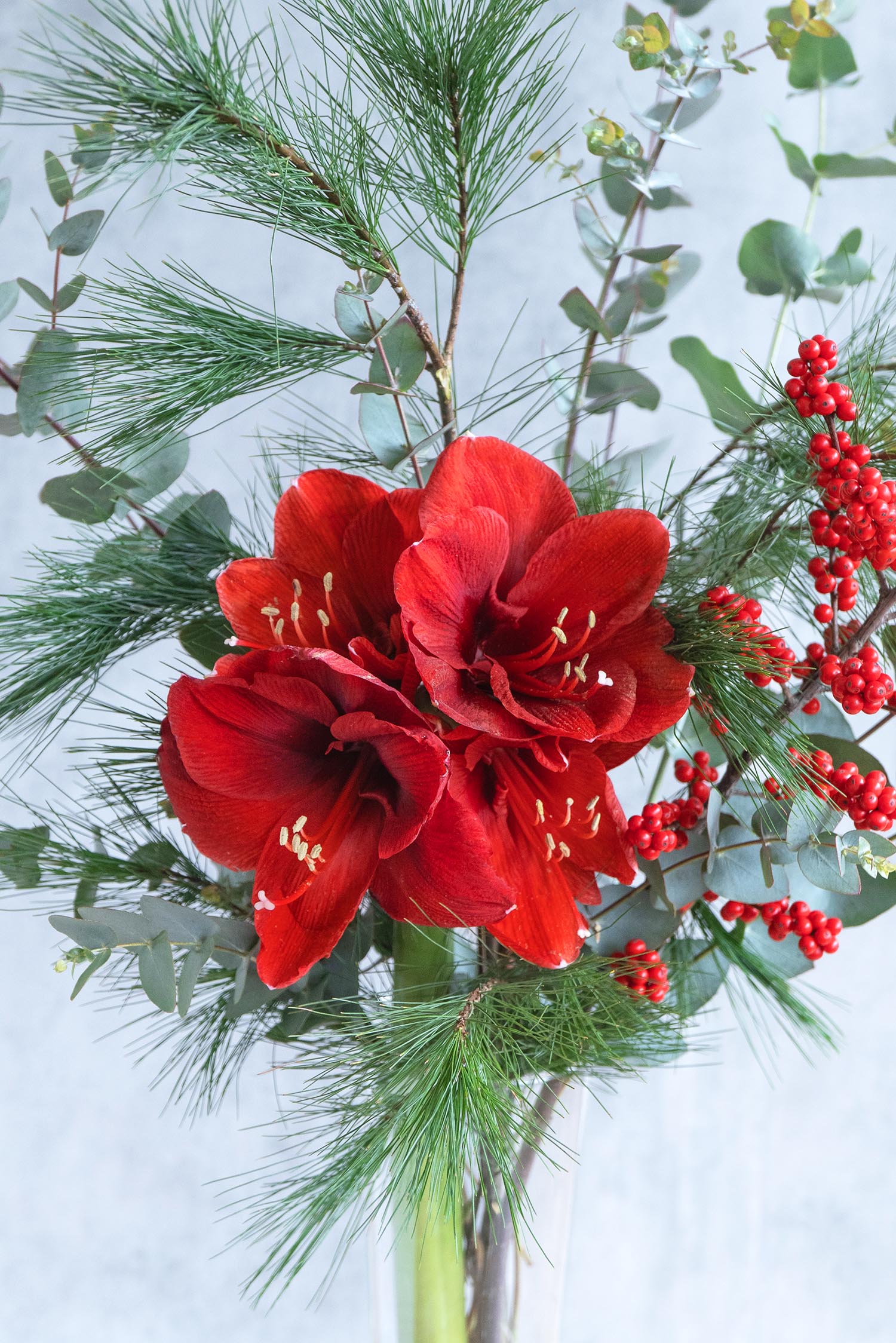 blumigo-berraschungsmixe-velvet-christmas-bouquet-strau image 2