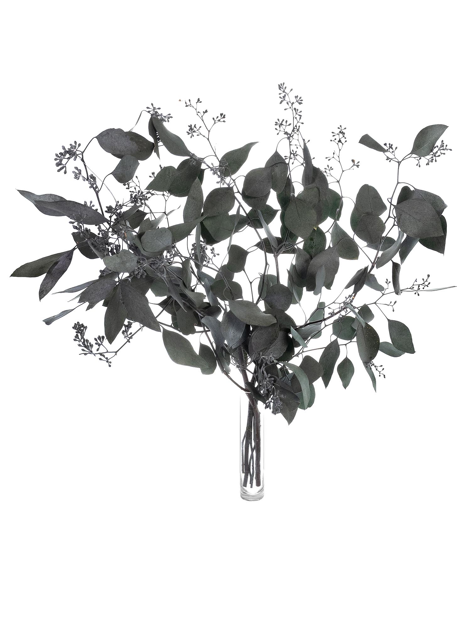 blumigo-populus-eukalyptus-m-beeren-gr-n-konserviert image 2